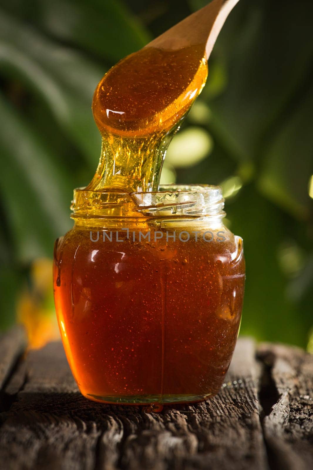 Close-up shot of flowing honey over green background