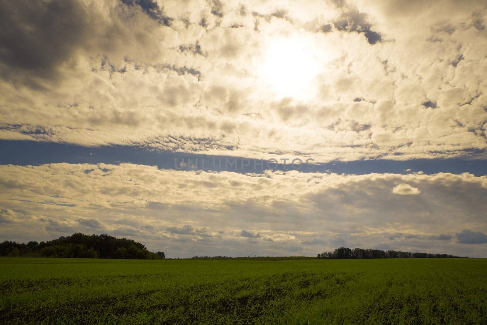 green field and blue sky