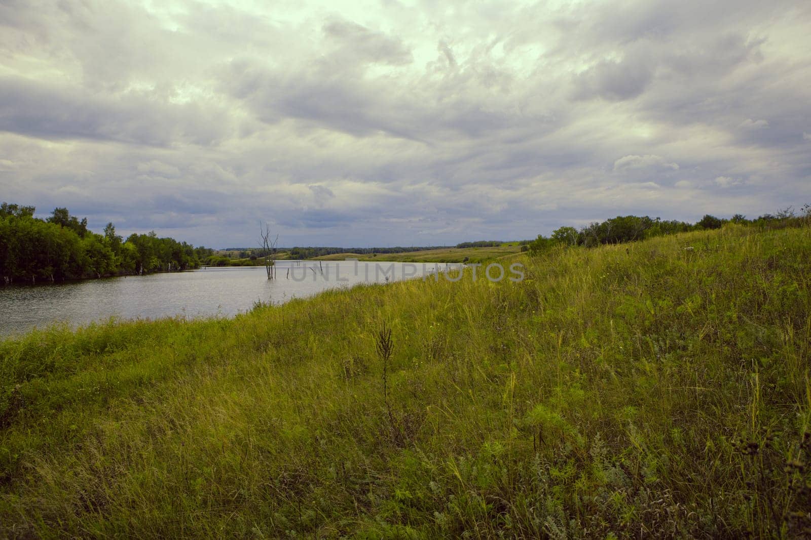 Beautiful landscape with summer forest and lake