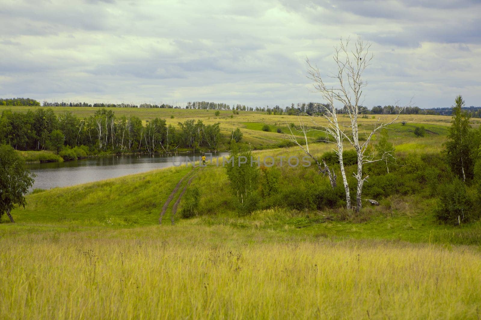 Beautiful landscape with summer forest and lake