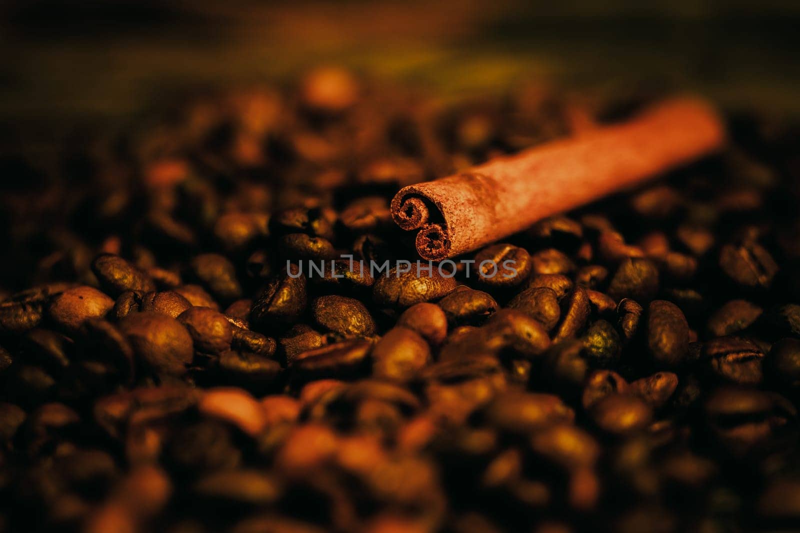 Coffee beans and cinnamon sticks