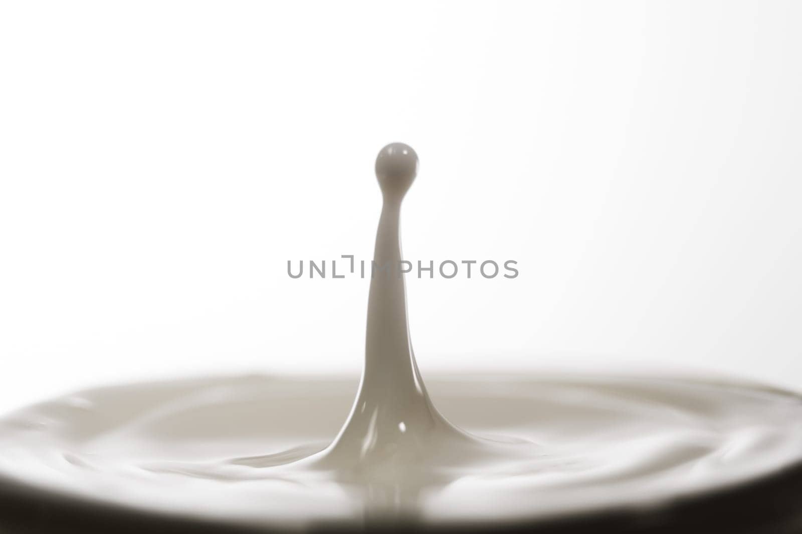 pouring milk in a glass isolated against white background