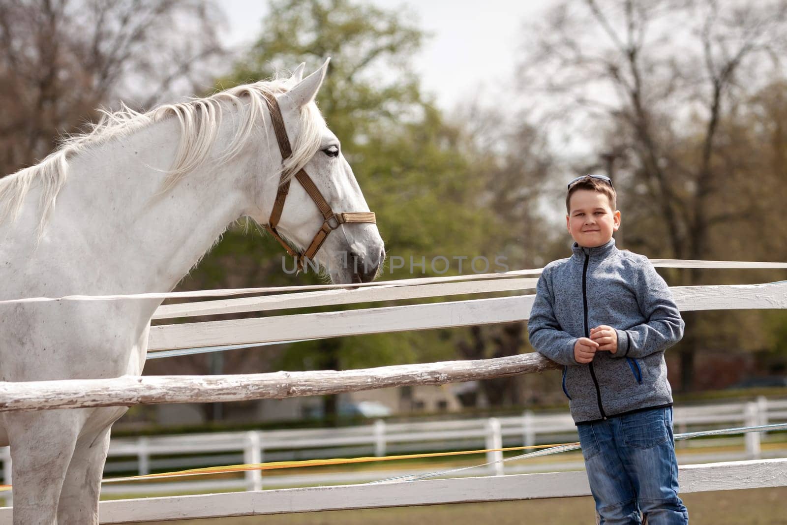white horse looks at the boy, Czech Republic