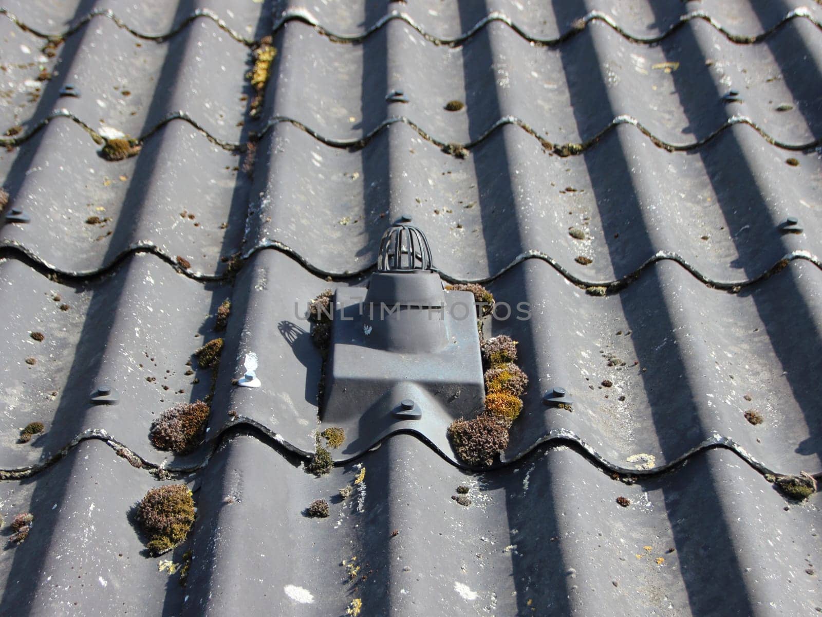 Small Ventilation Exhaust on Old Curved Roof with Alga