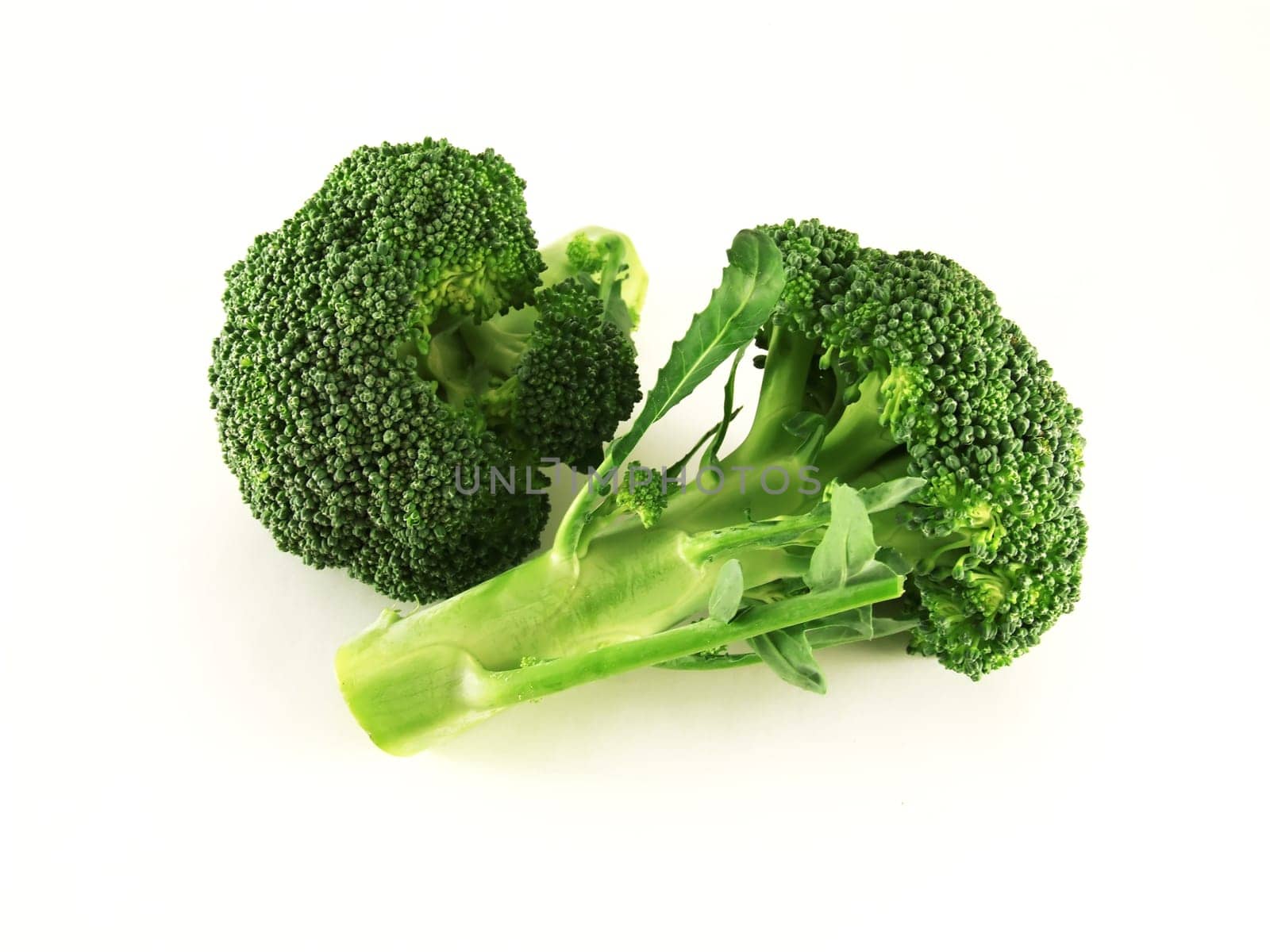 isolated broccoli