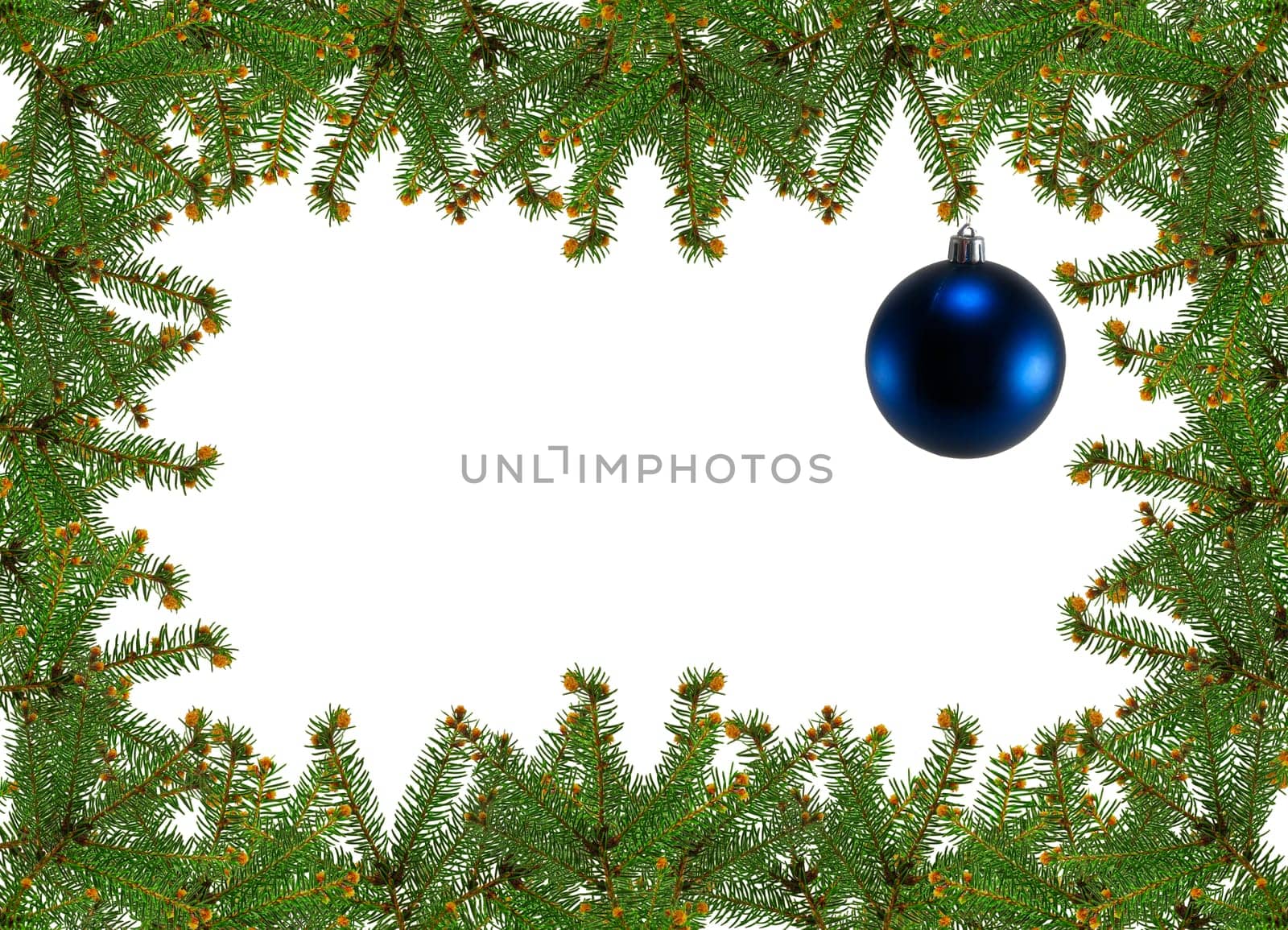 frame of pine branches over white