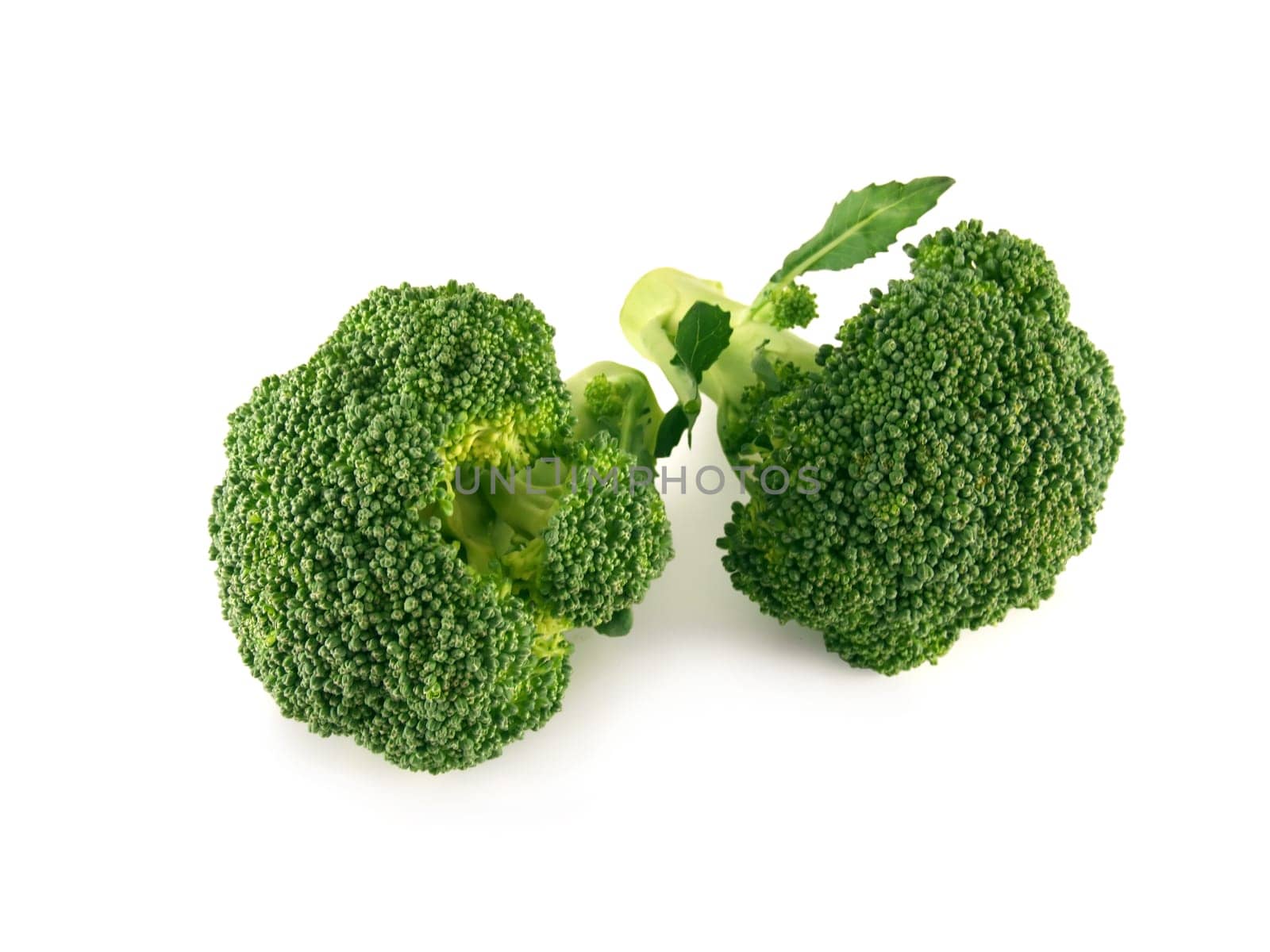 Two fresh broccoli isolated over white