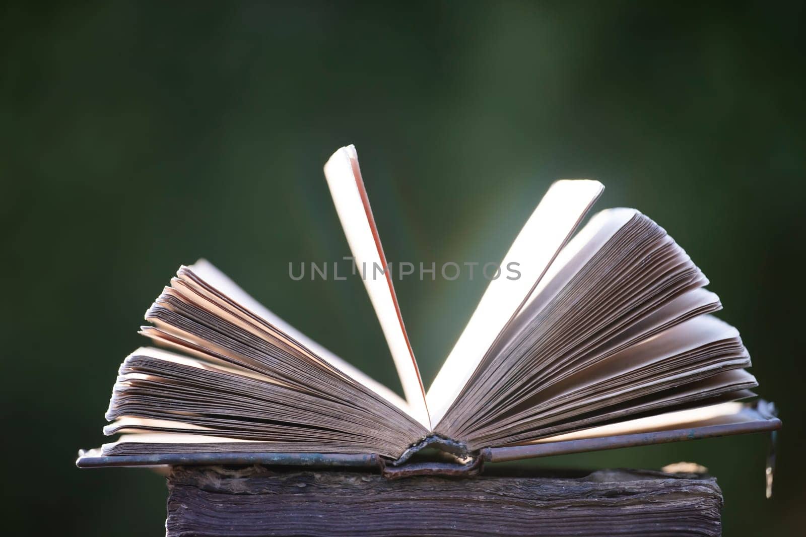 Literature, reading concept: old open book