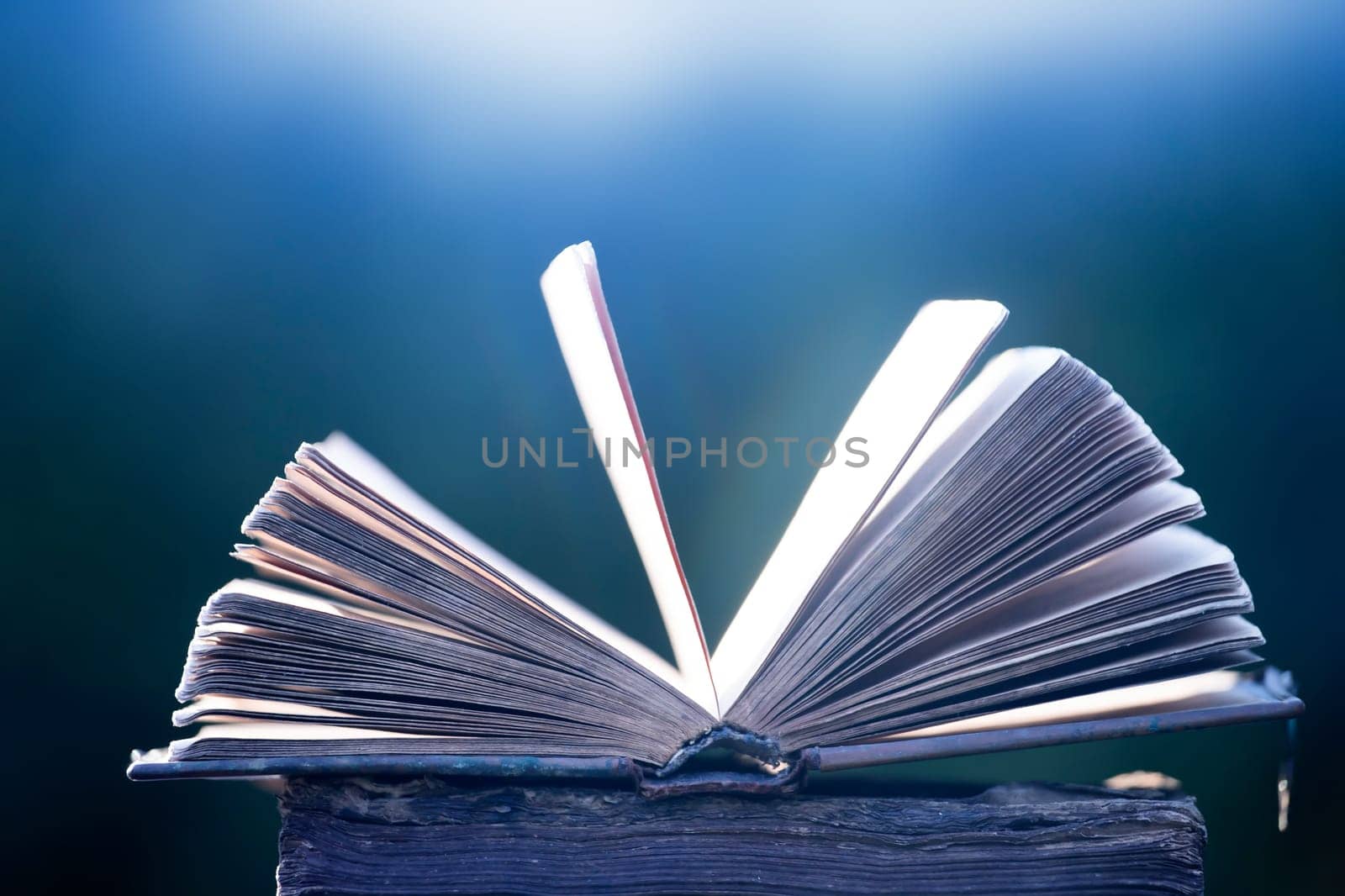 Literature, reading concept: old open book