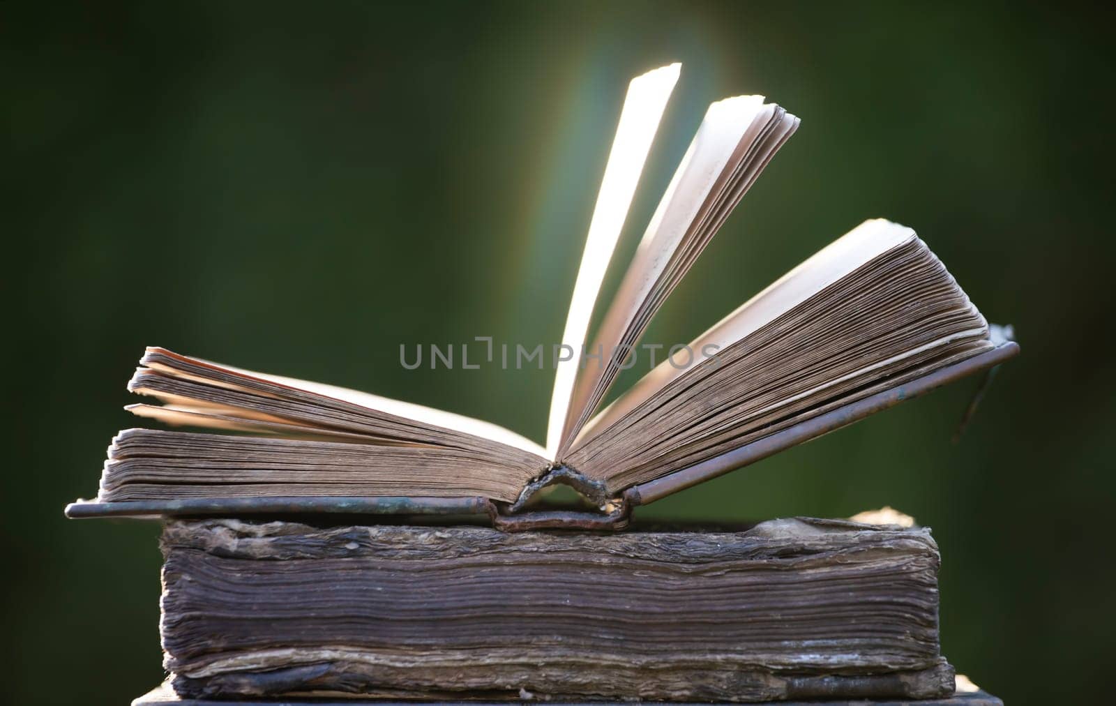 Literature, reading concept: old open book