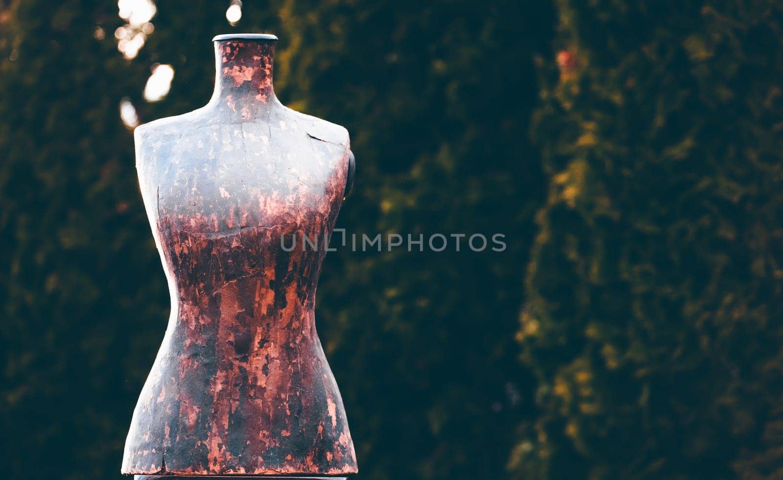 Vinateg photo of wooden mannequin body