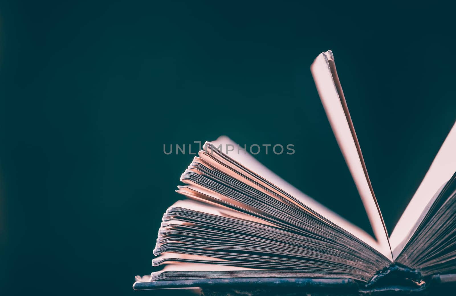 Literature, reading concept: old open book