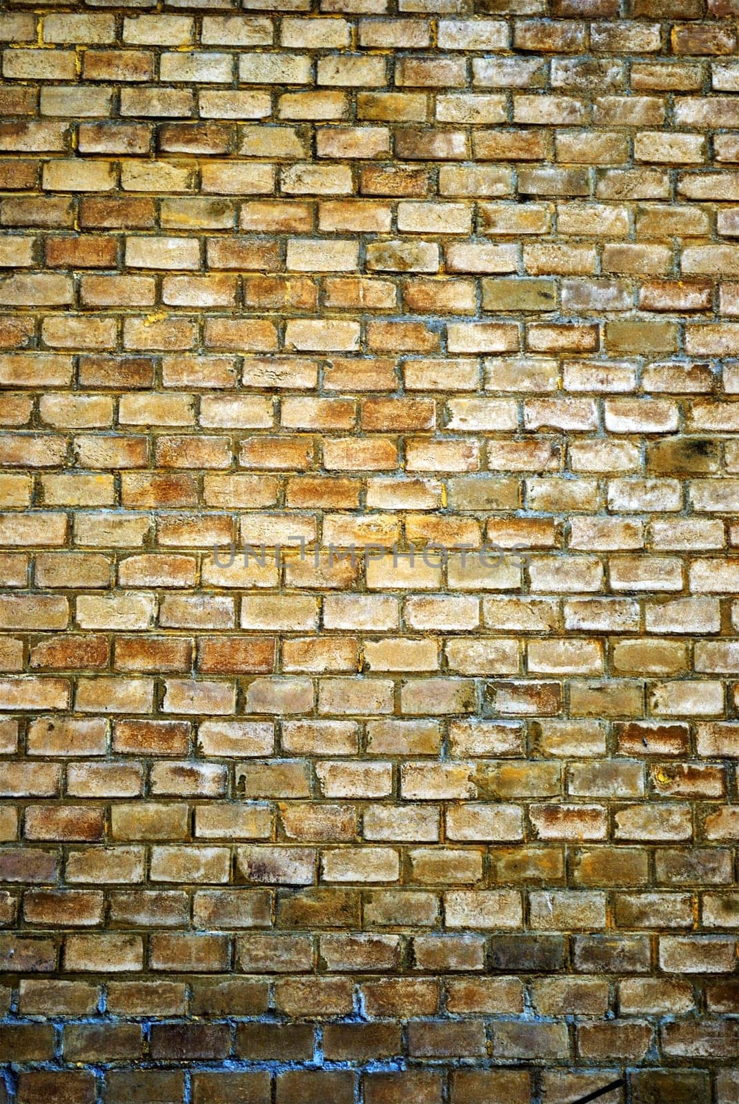 Old yellow brick wall background