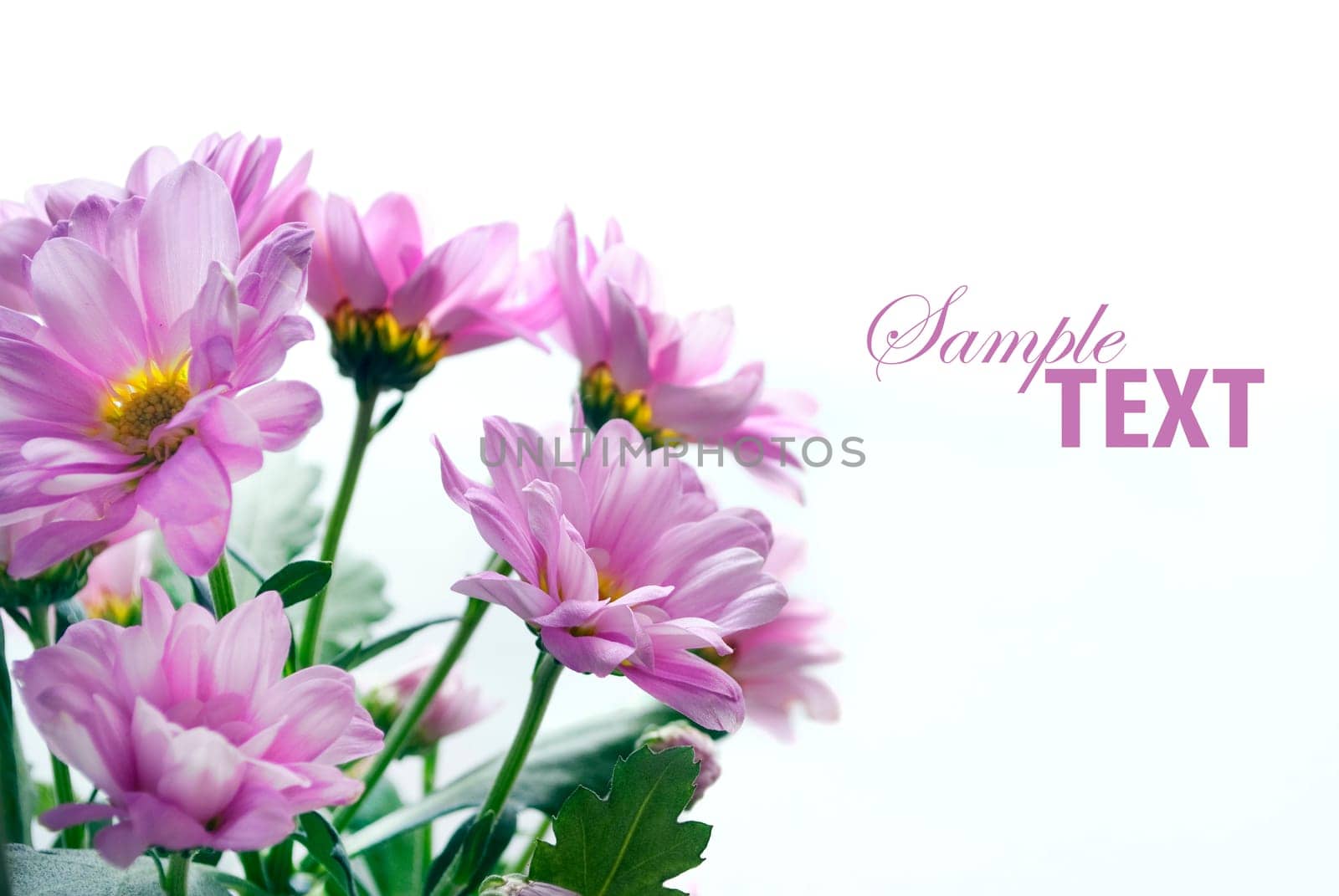 Flower bouquet isolated over white background
