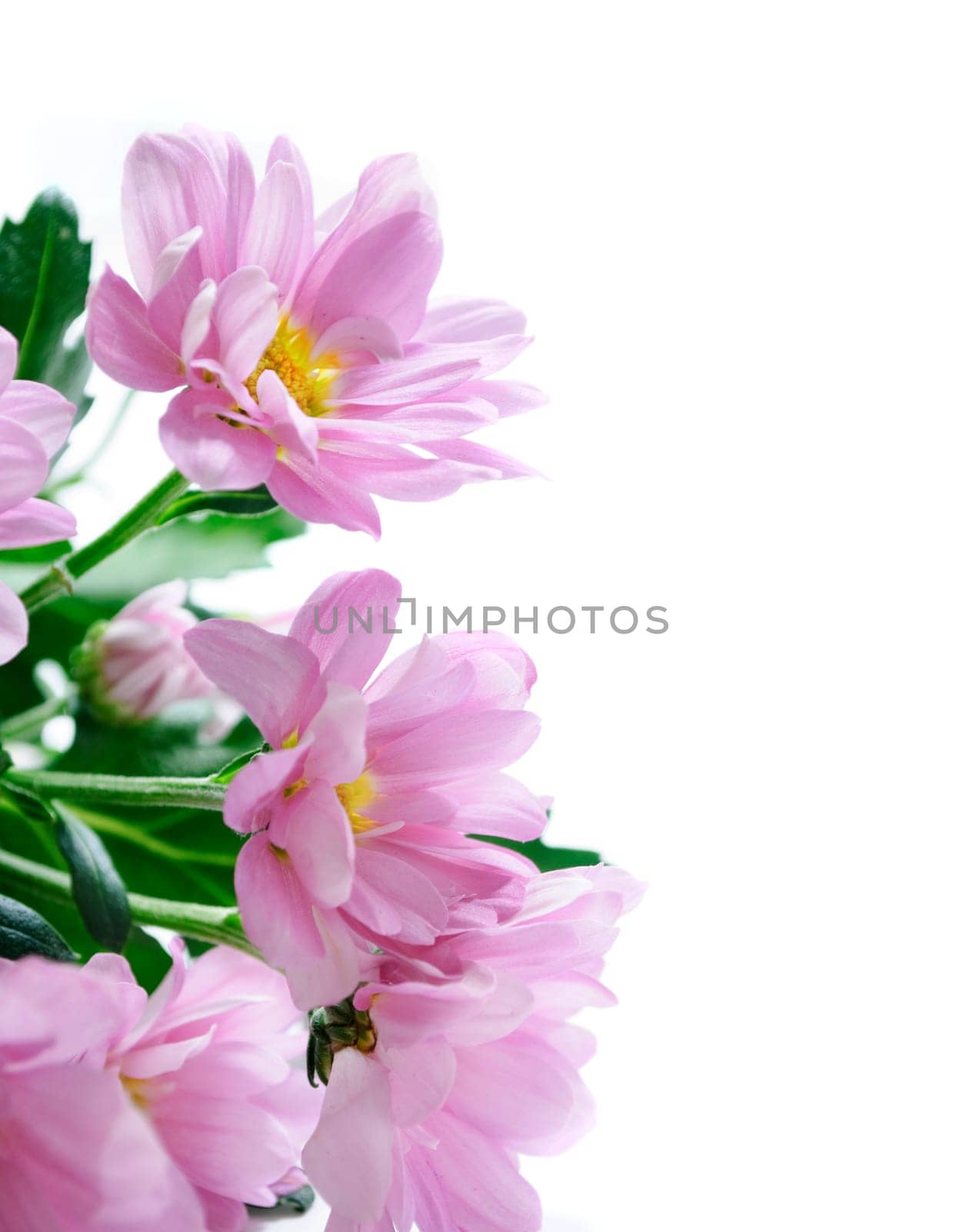 Flower bouqet isolated over white background