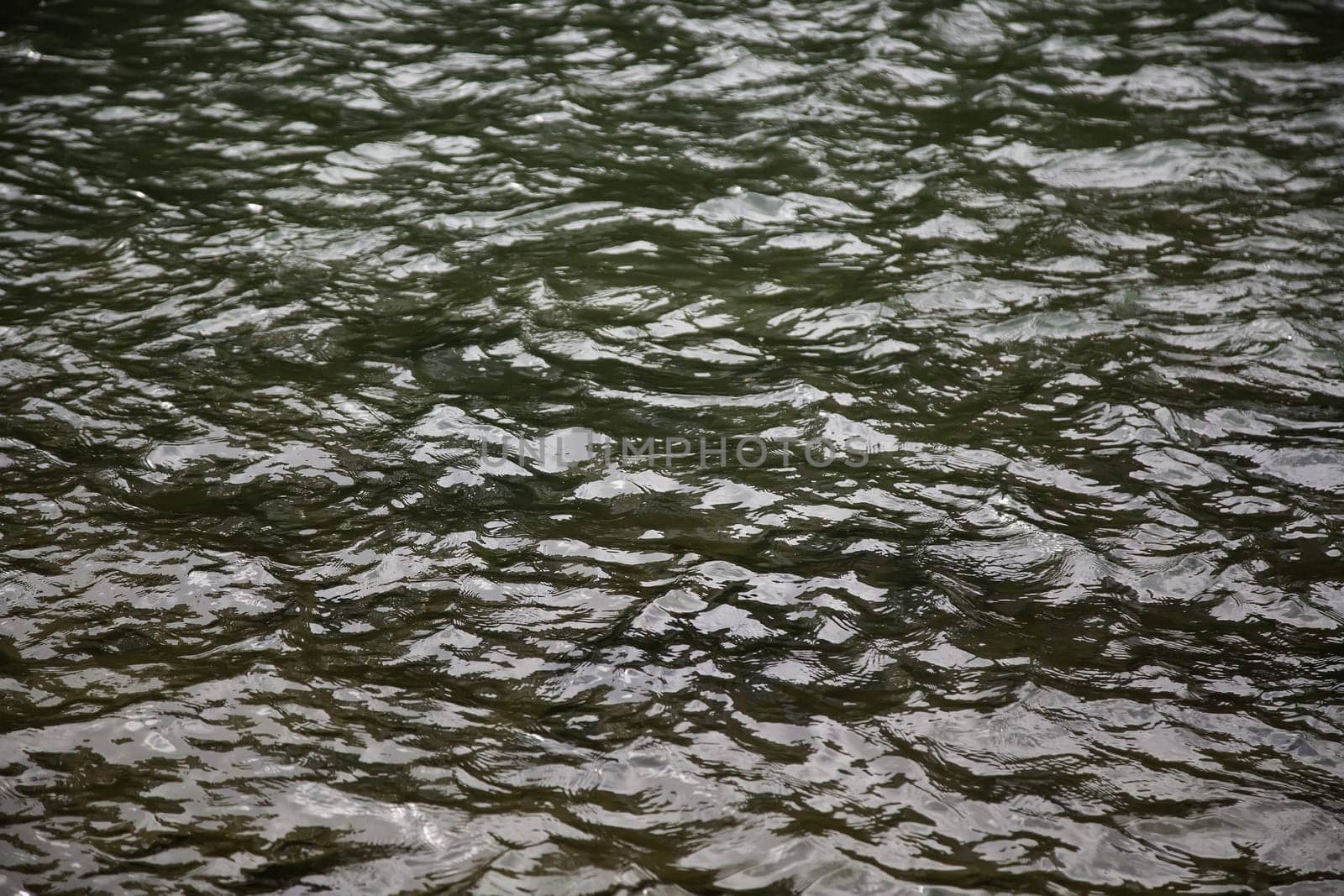 Detail of salt water offshore, nature