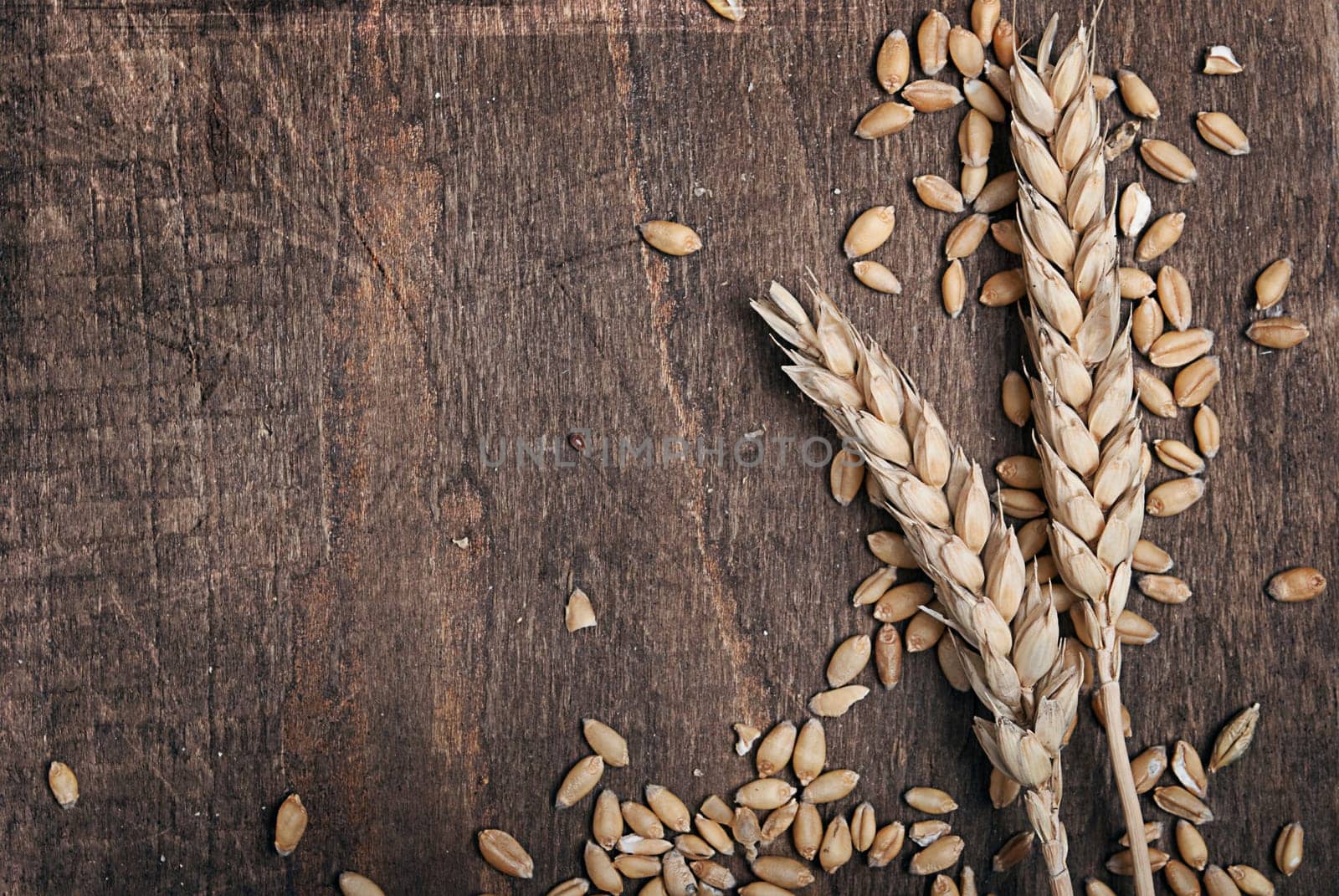 Wheat ears on an old wooden plank