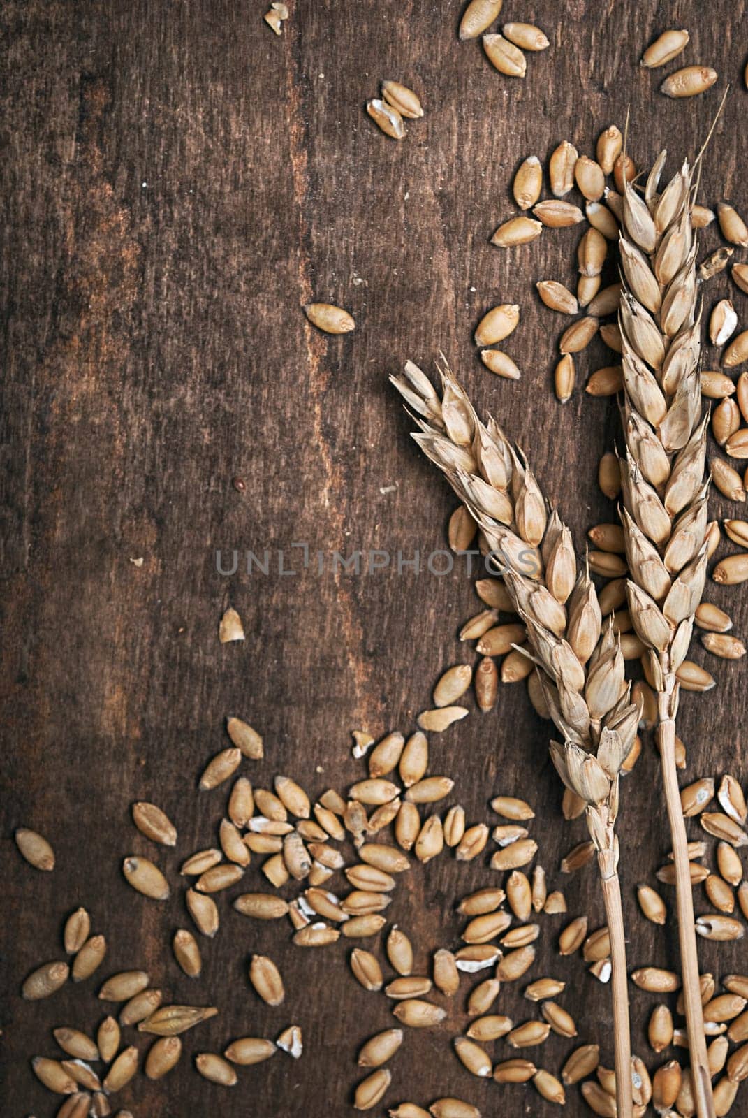 Wheat ears on an old wooden plank