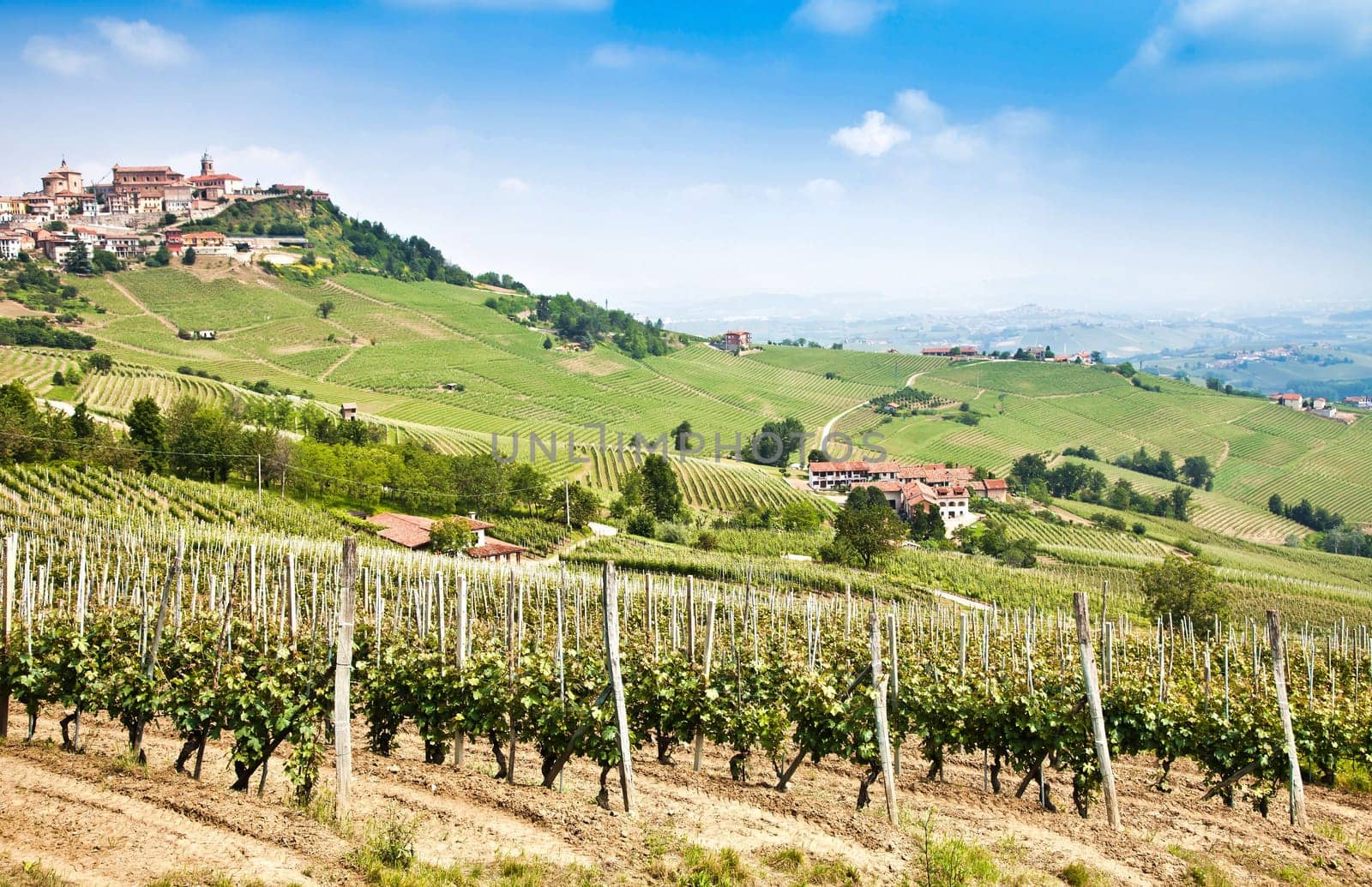 La Morra. Traditional village close to Barolo and Alba, in Piedmont Region, Italy.