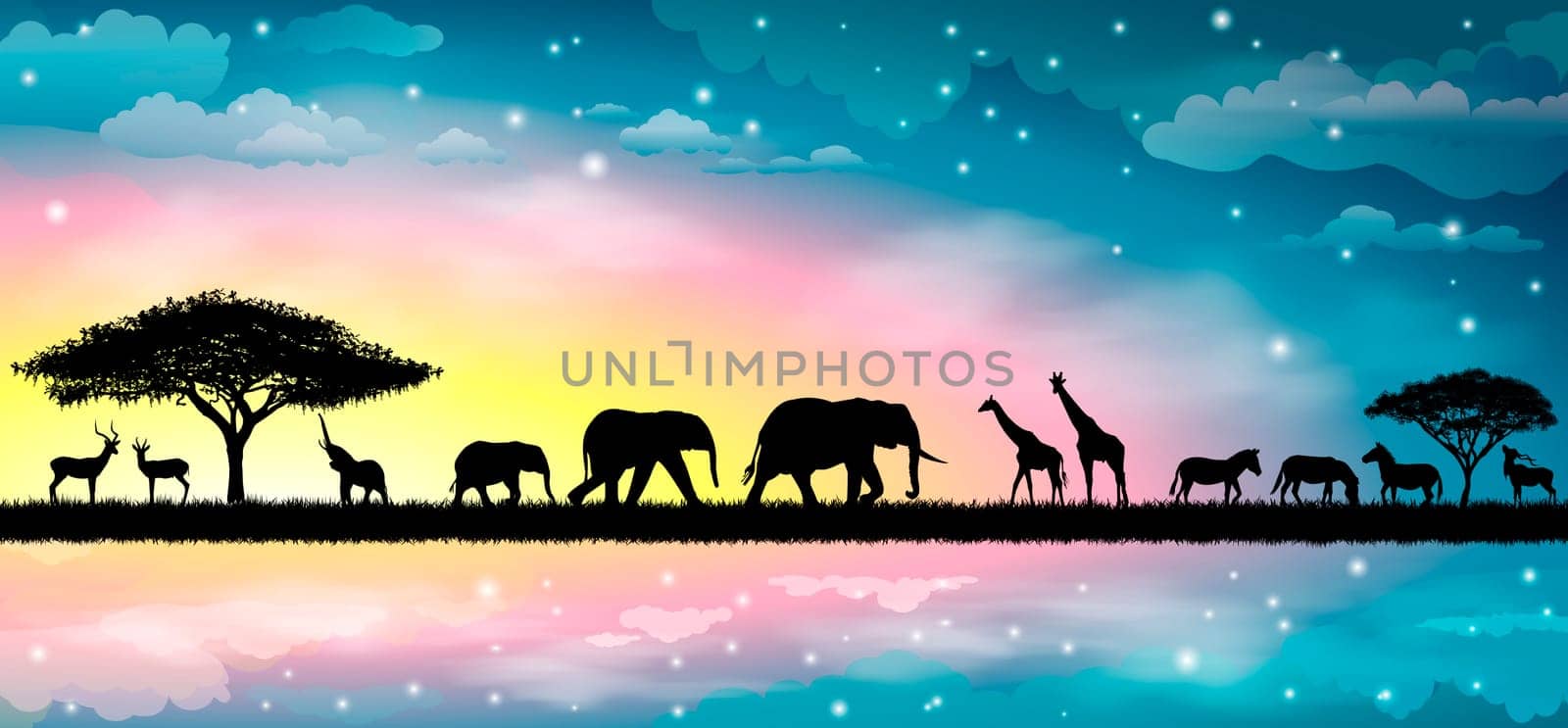 Silhouettes of wild animals of the African savannah. Beautiful sunset. Sky, stars, clouds.
