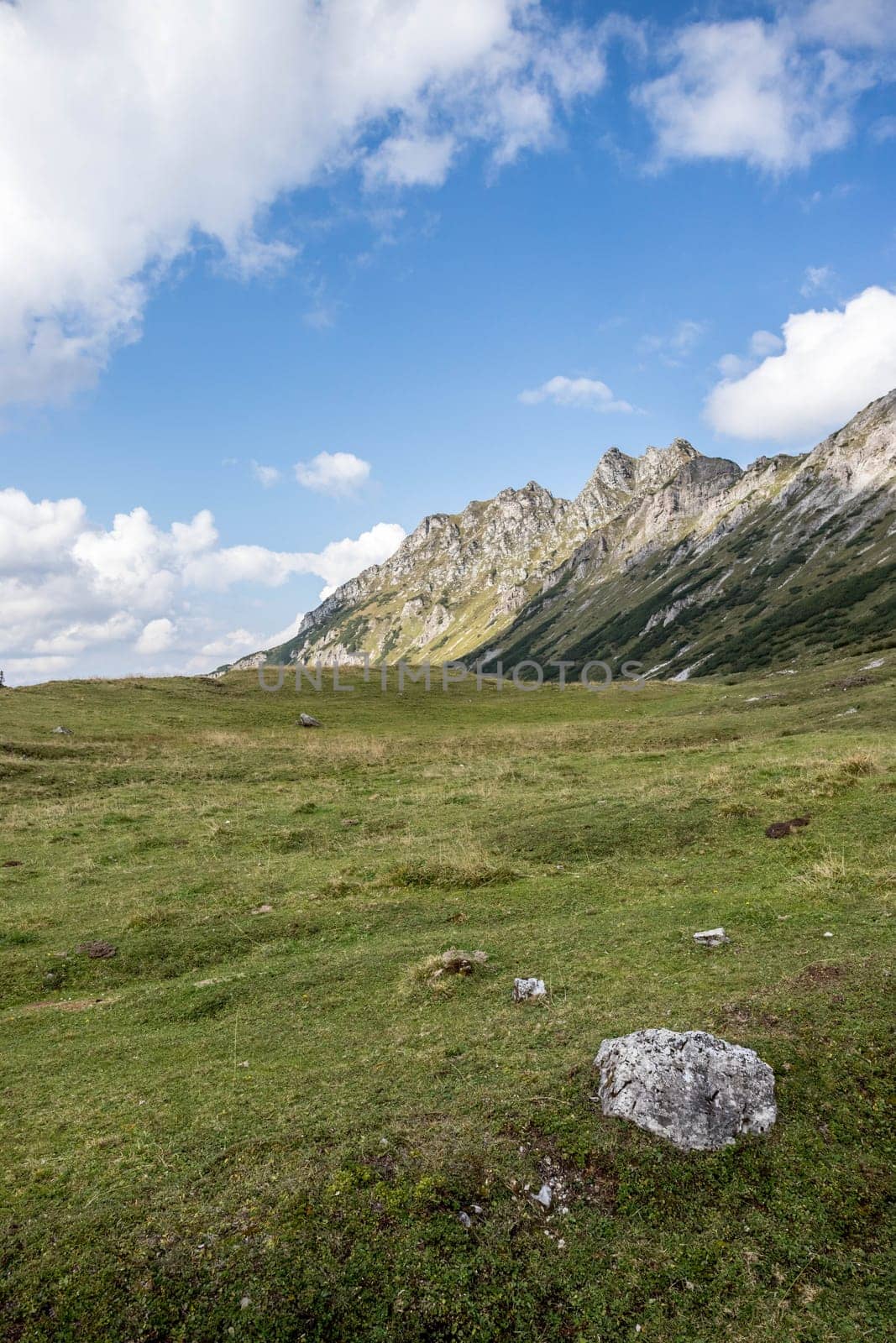 Idyllic mountain landscape in the alps: Beautiful scenery of meadow, mountains and blue sky