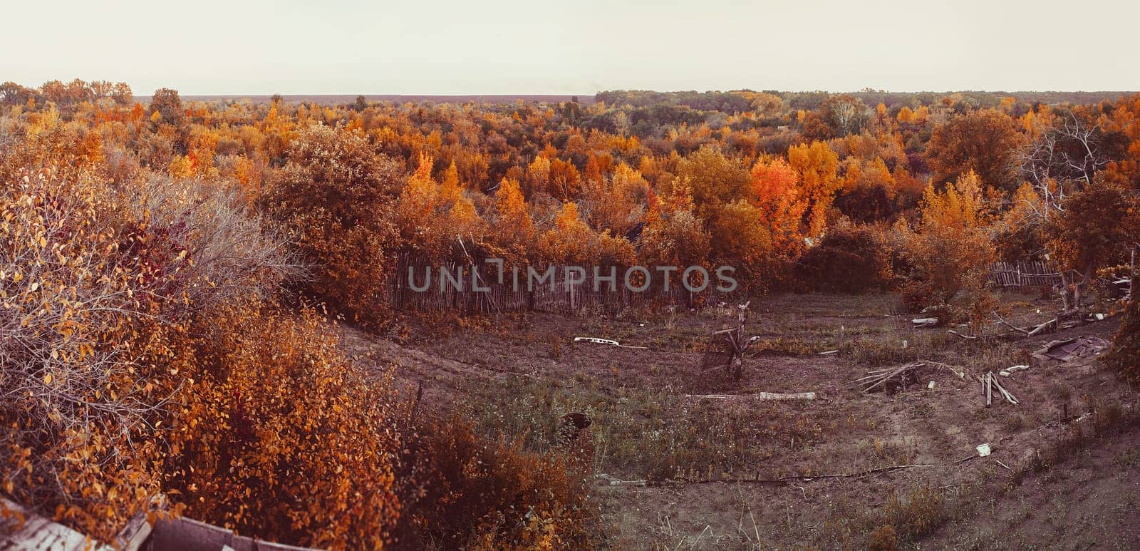 Mountain autumn landscape with colorful  forest