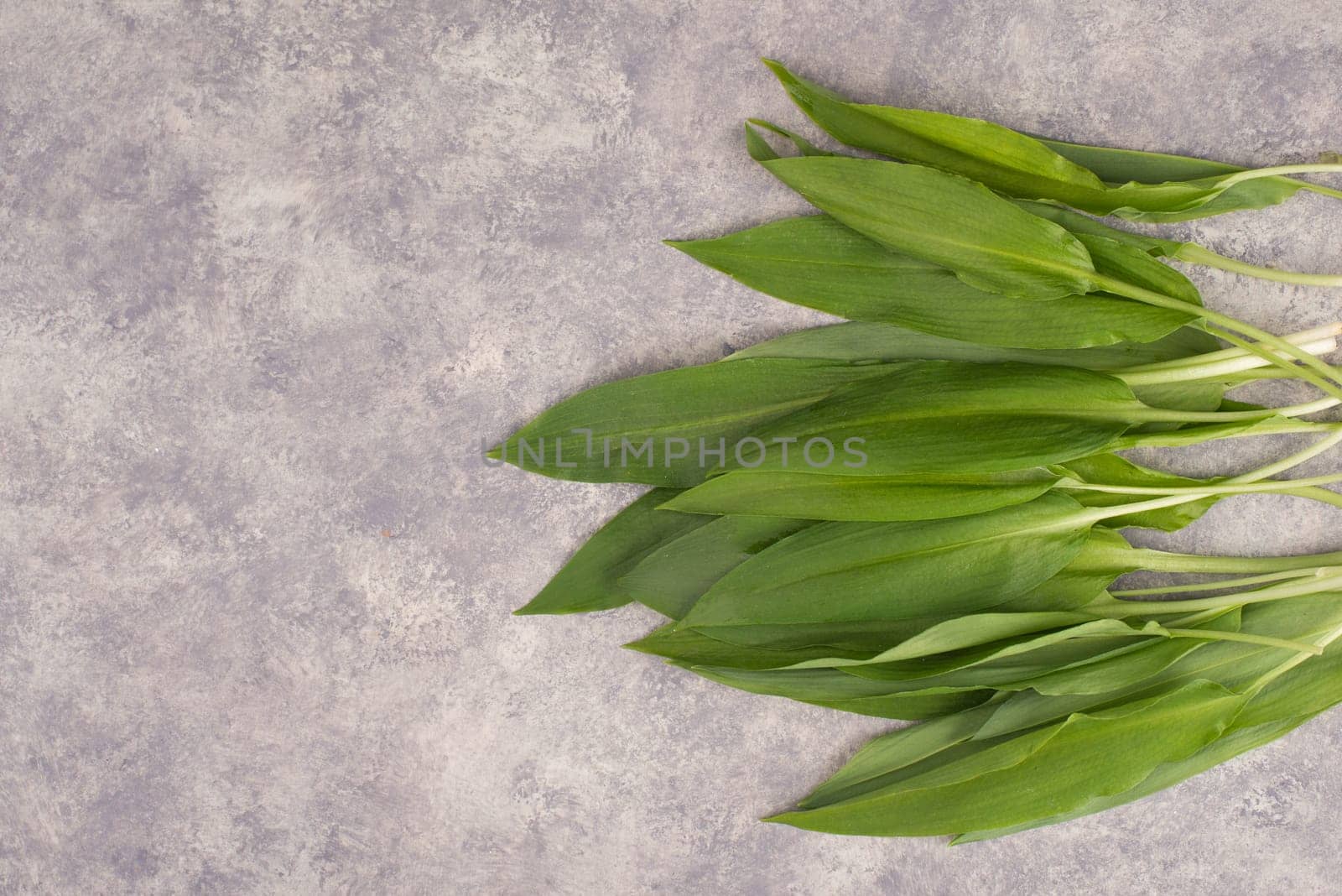 Fresh wild garlic leaves on a textured background, empty copy space for text