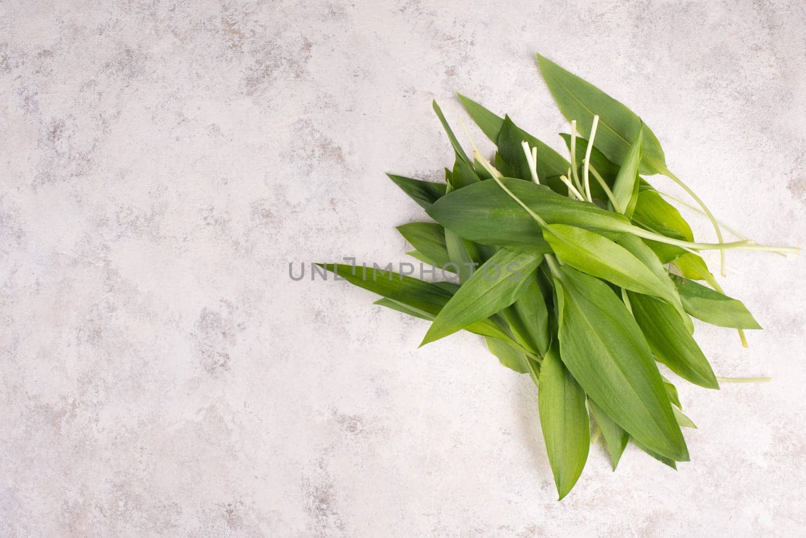 Fresh wild garlic leaves on a textured background, empty copy space for text