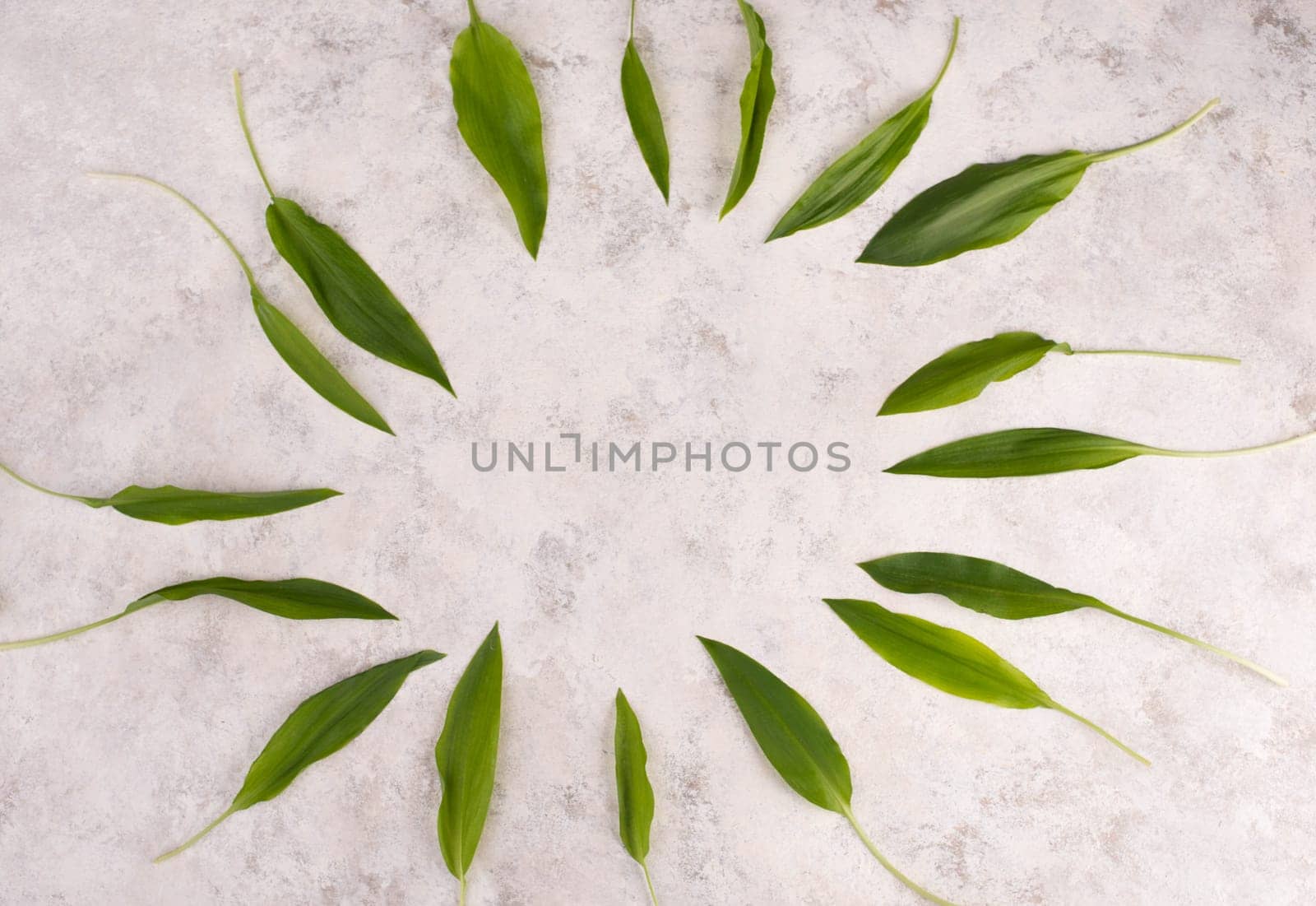 Fresh wild garlic leaves on a textured background, empty copy space for text