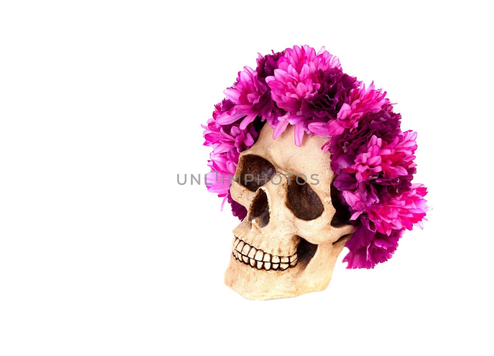 Skull with a wreath of pink flower isolated on a white background
