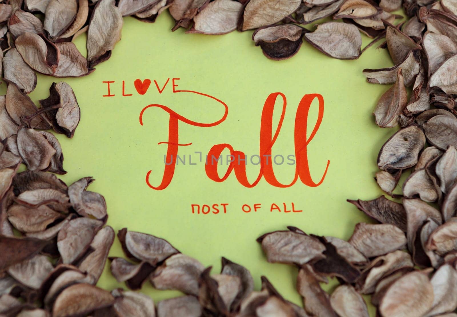 Message "I Love FALL most of All"" with many dry leaves around"