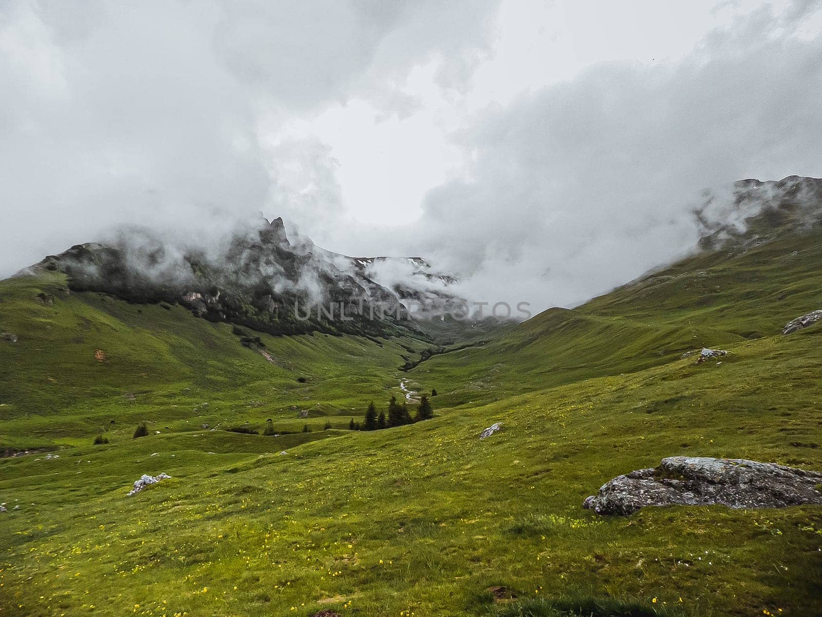 Panoramic image of mysterious green misty fog pine tree forest and mountains. Bucegi Mountains Romania Spring Day.