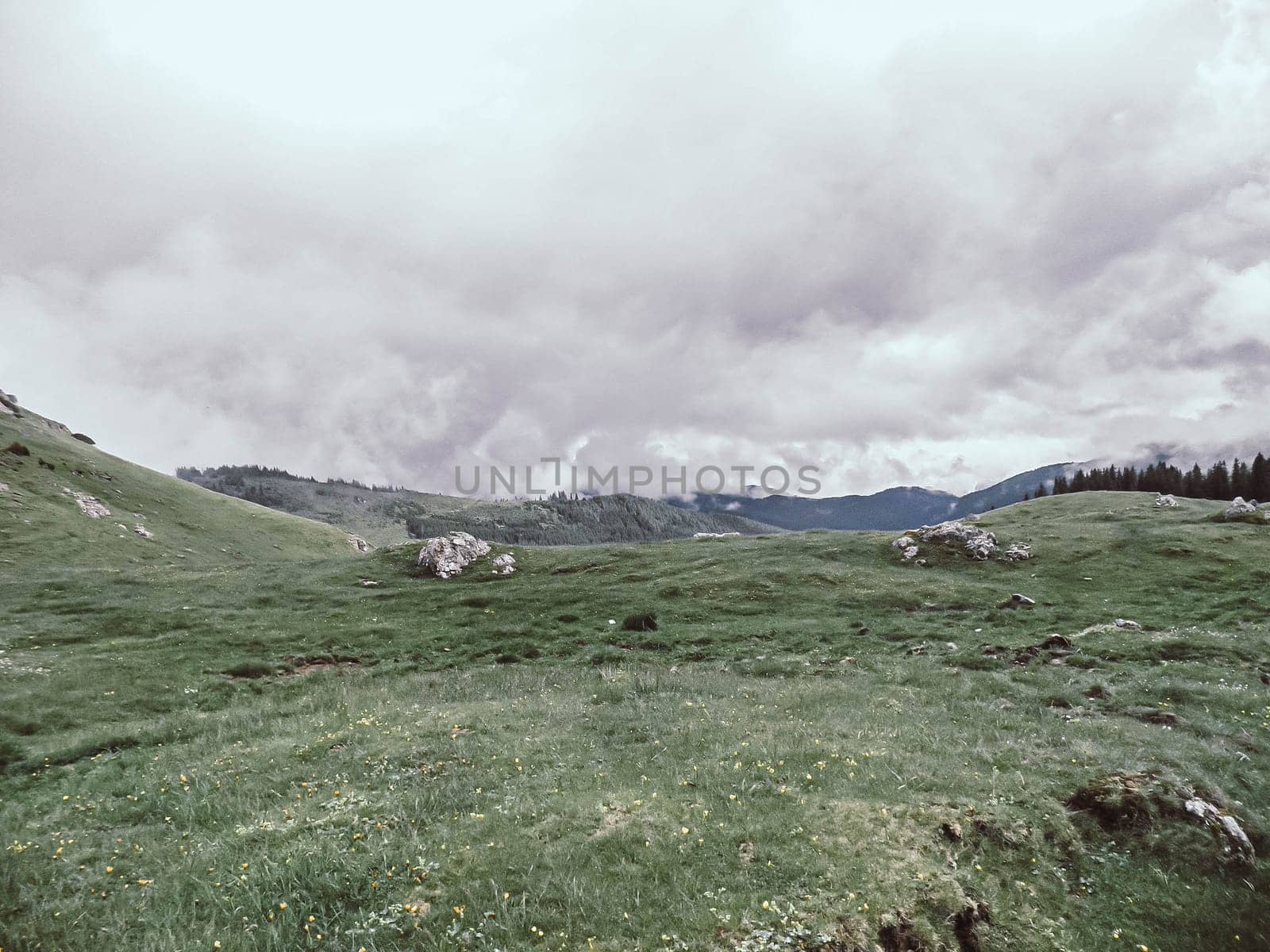 panoramic image of mysterious green misty fog pine tree forest and mountains . Bucegi Mountains Romania Spring Day .