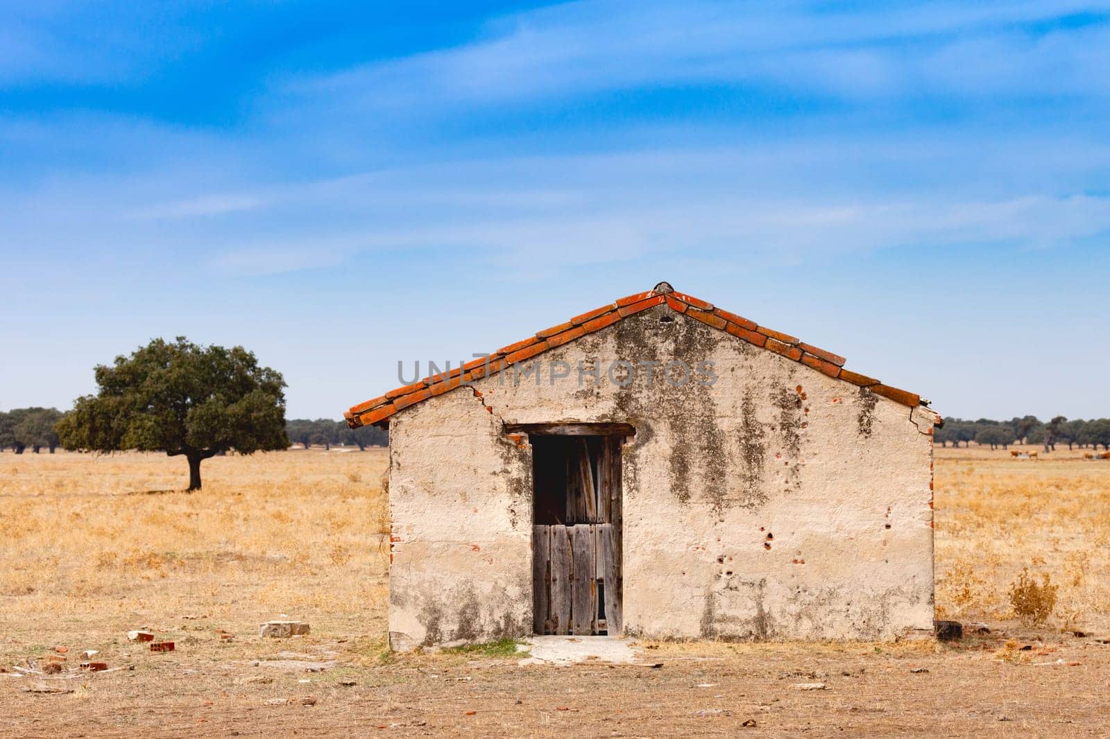 desolate old house with a wooden door in the middle of the field