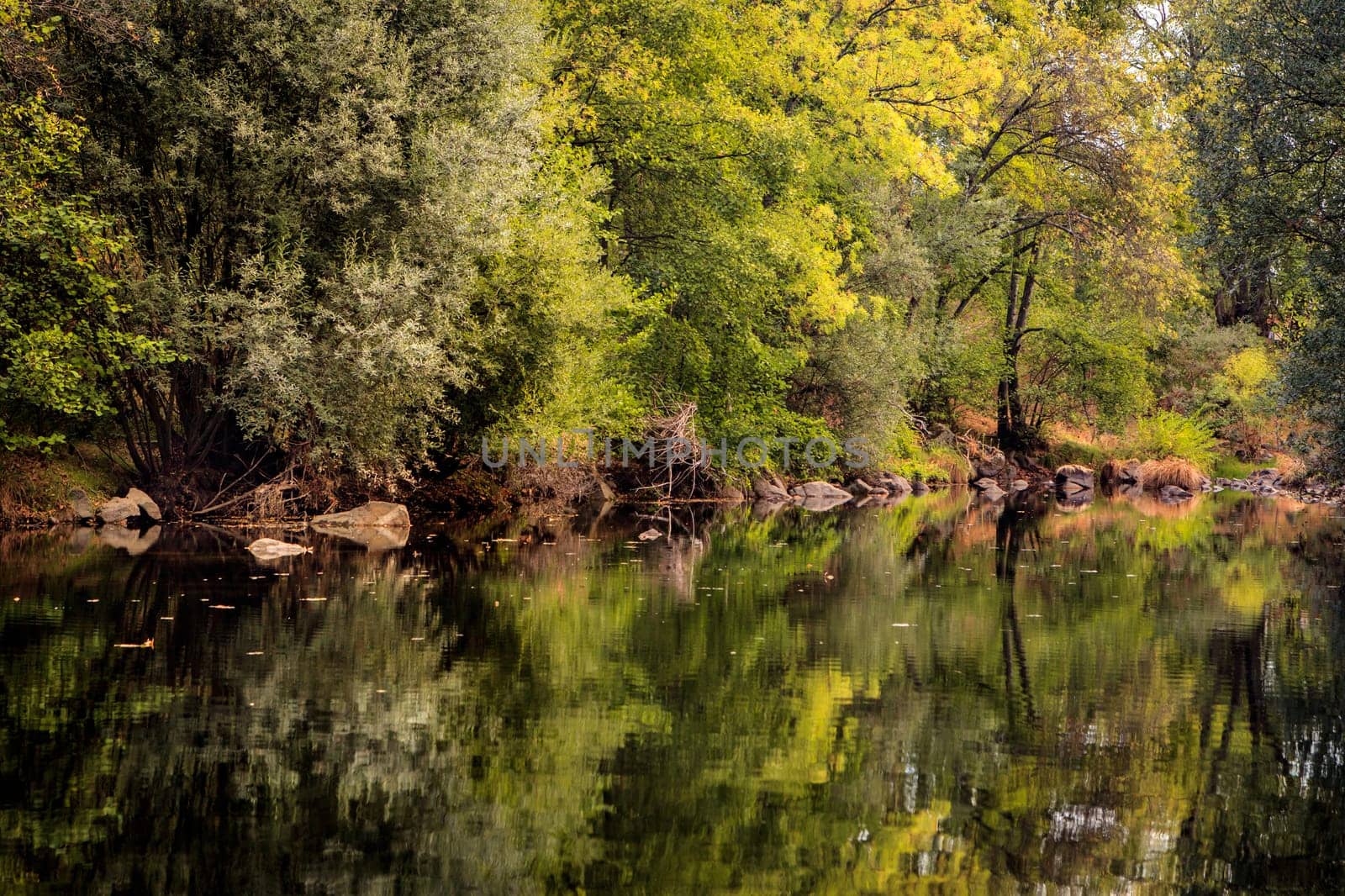 The river with a quiet current and trees reflected in it