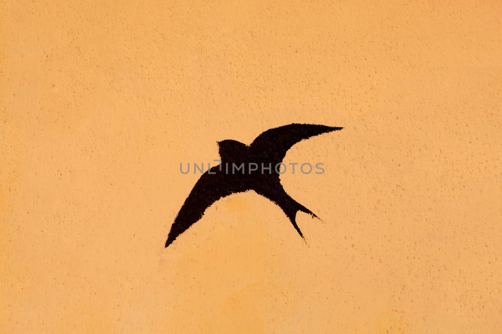 Silhouette of a swallow on a orange background