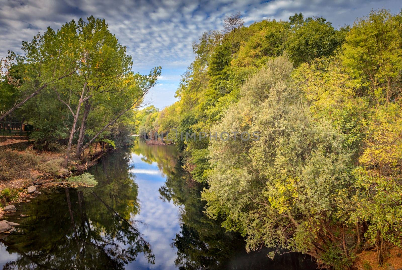 The river with a quiet current and trees reflected in it