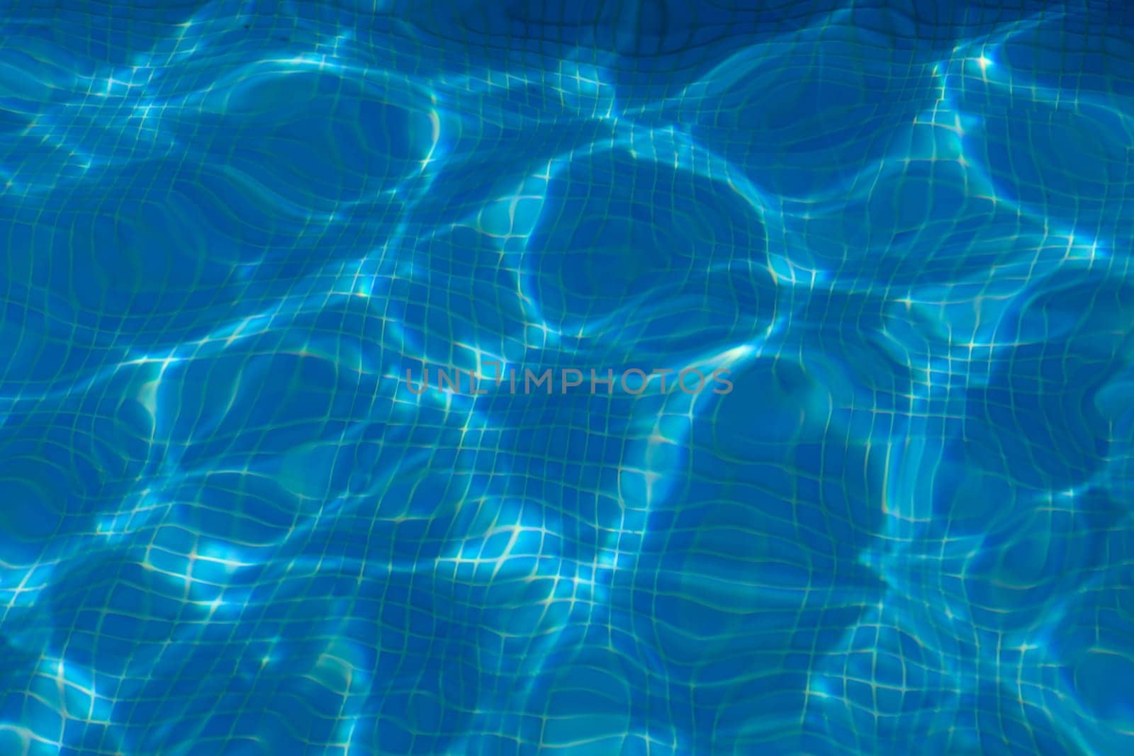 Clean water in a blue pool. Ready for the summer