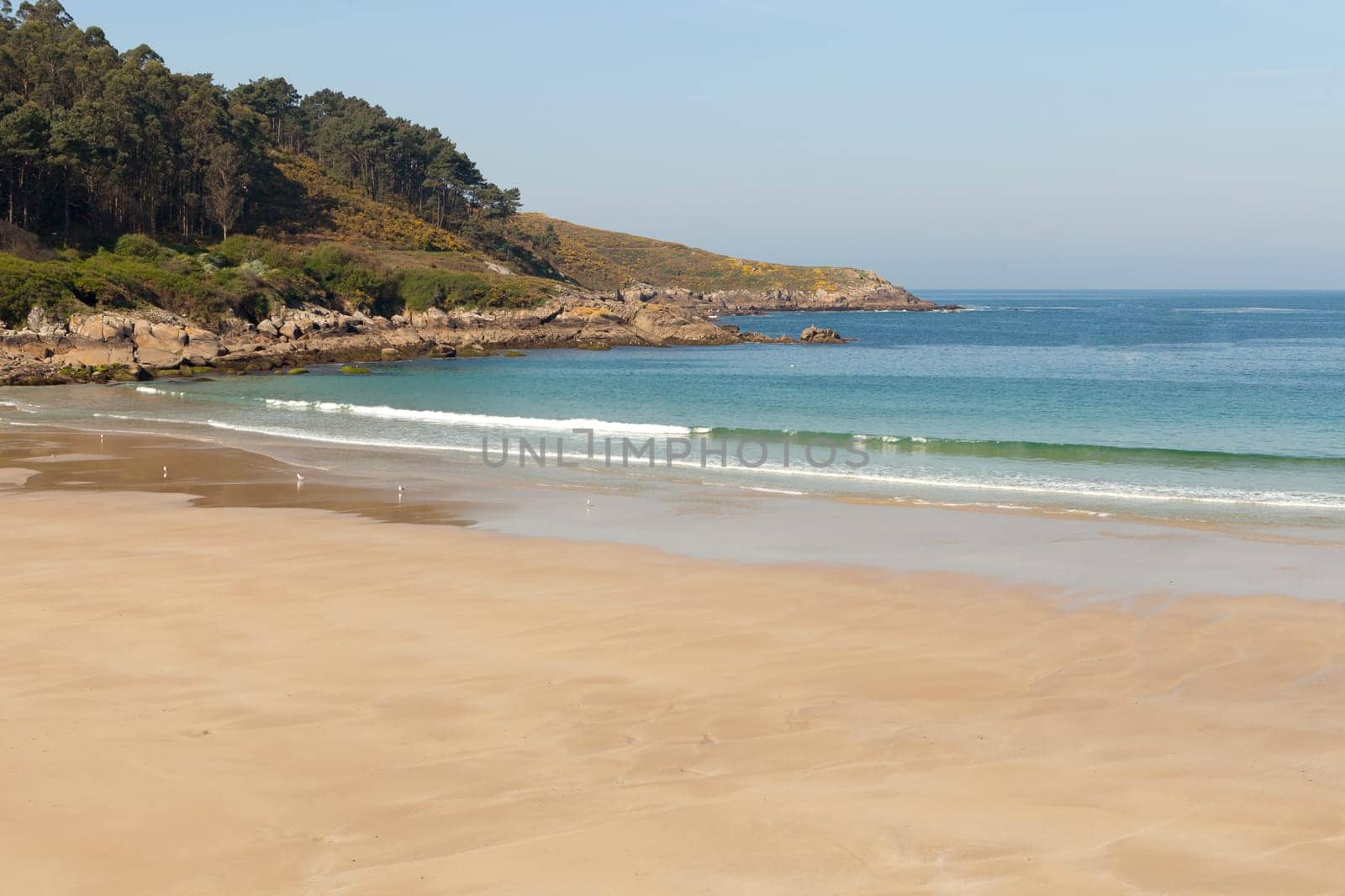 Beautiful beach with a beautiful water