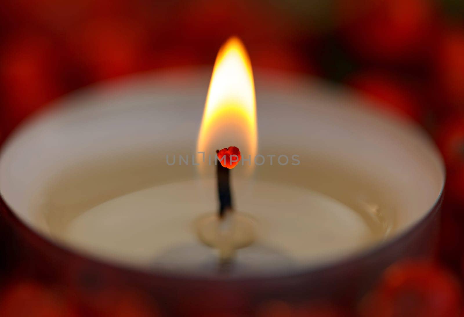 Christmas candles with berries. Decoration for holidays
