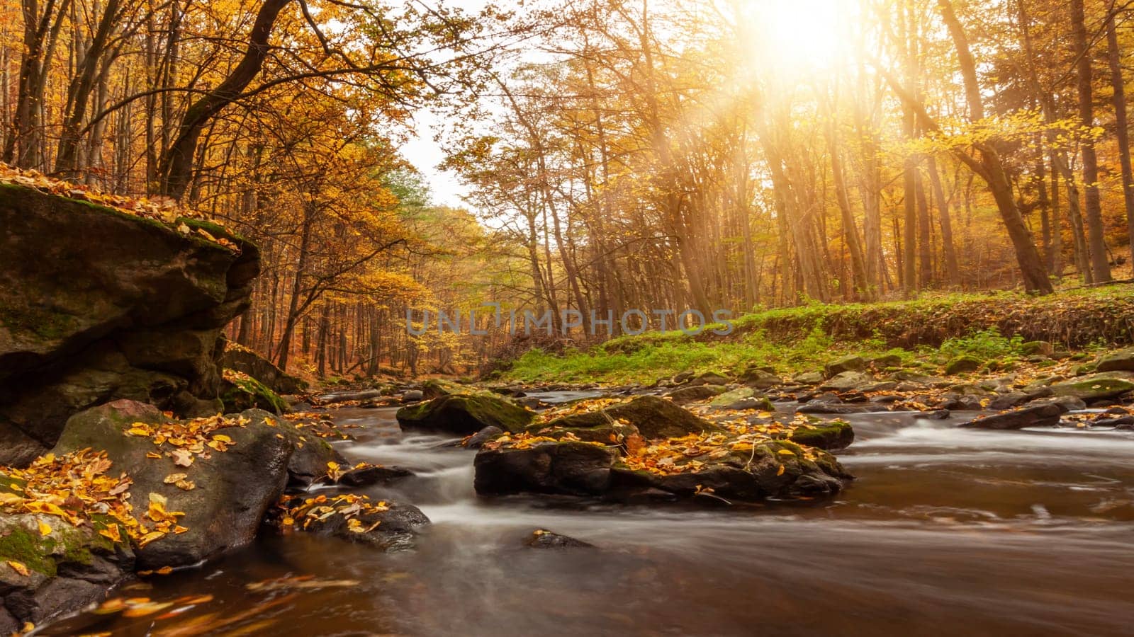 Autumn forest river creek view. Creek in autumn forest sunset. Autumn water in forest. Czech Republic
