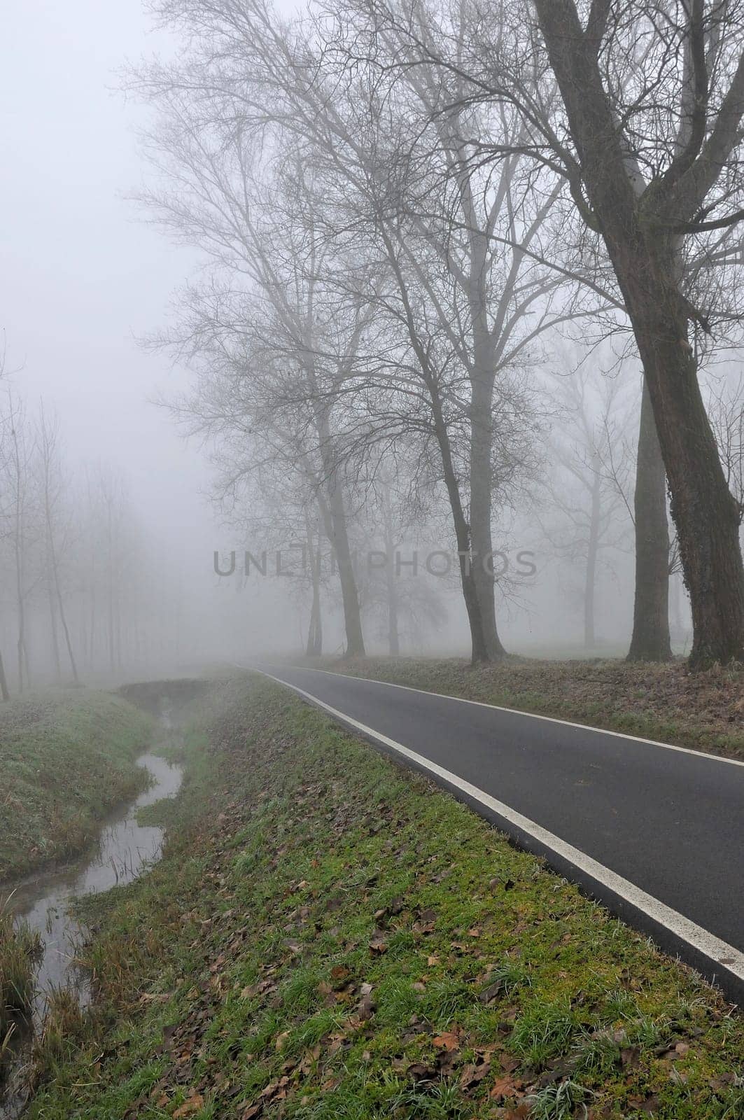 foreshortening of narrow road near a ditch in winter countryside, shot in foggy light