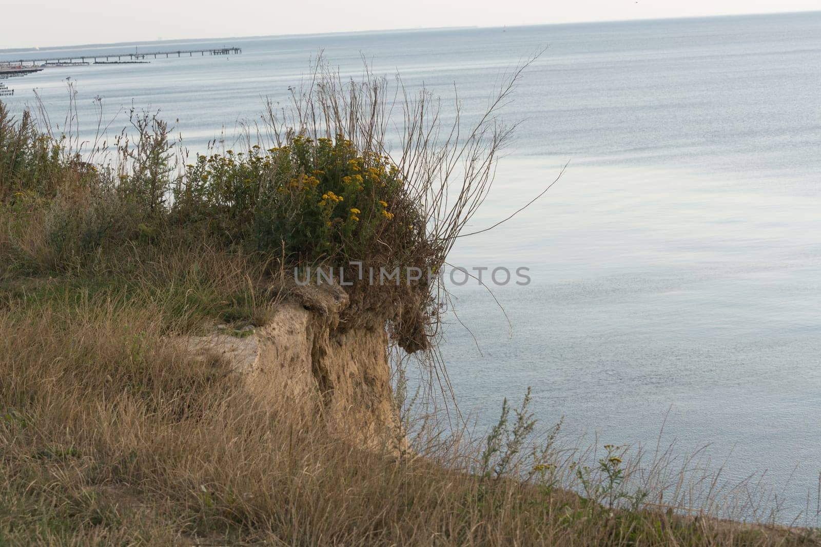 Steep coast on the Baltic Sea near Ahrenshoop