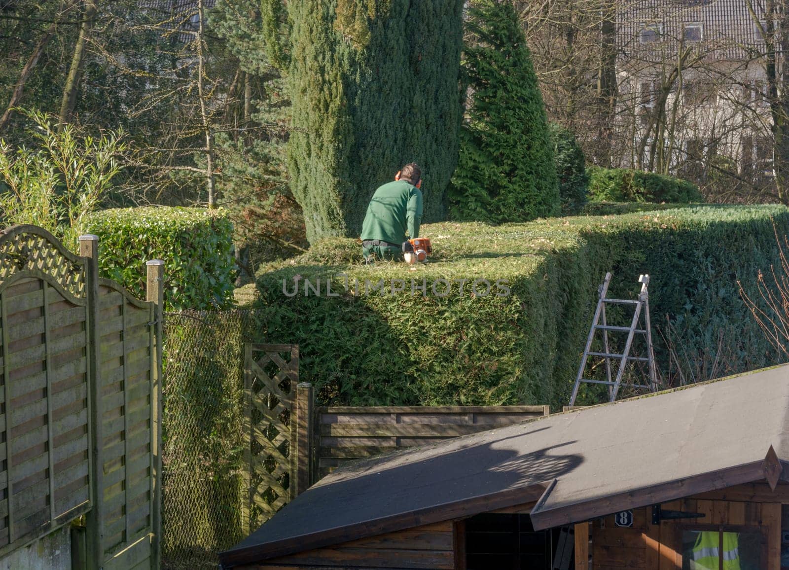 Pruning bushes in the garden. Autumn gardening..