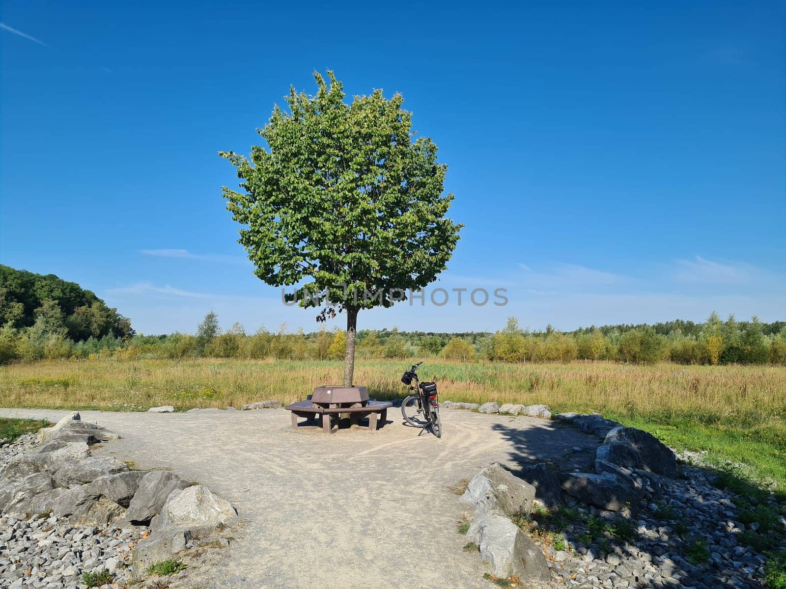 Bike tour through a beautiful park