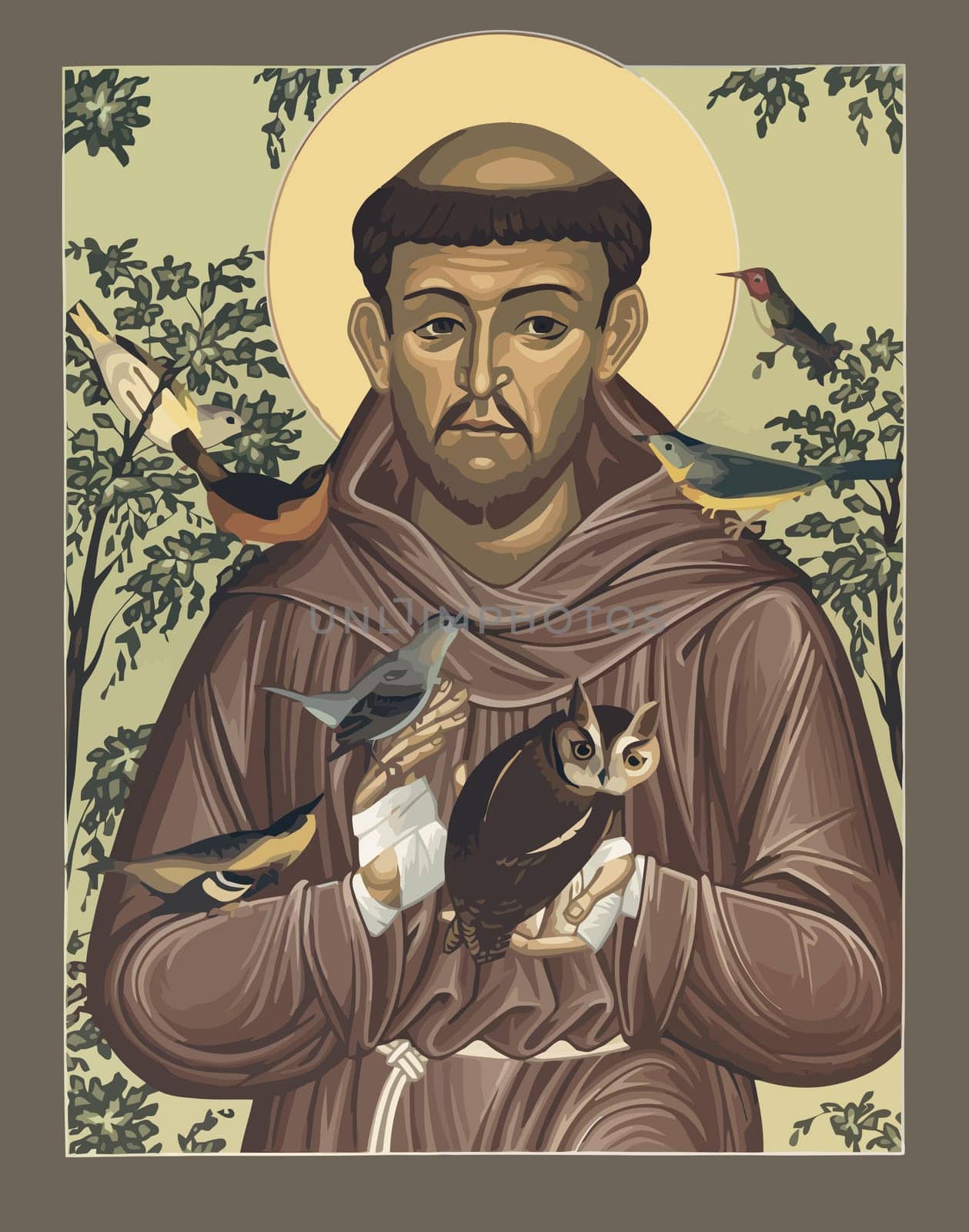 saint francis of assisi holy  illustration  religious