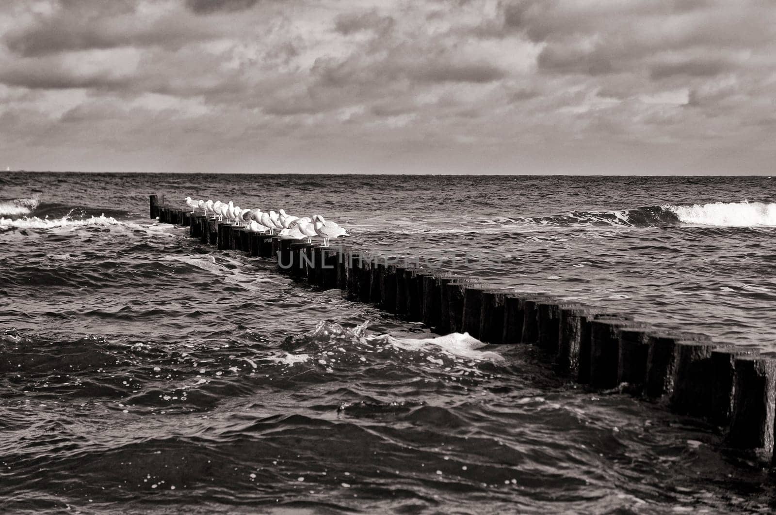 Mecklenburg Baltic Sea coast, Kühlungsborn