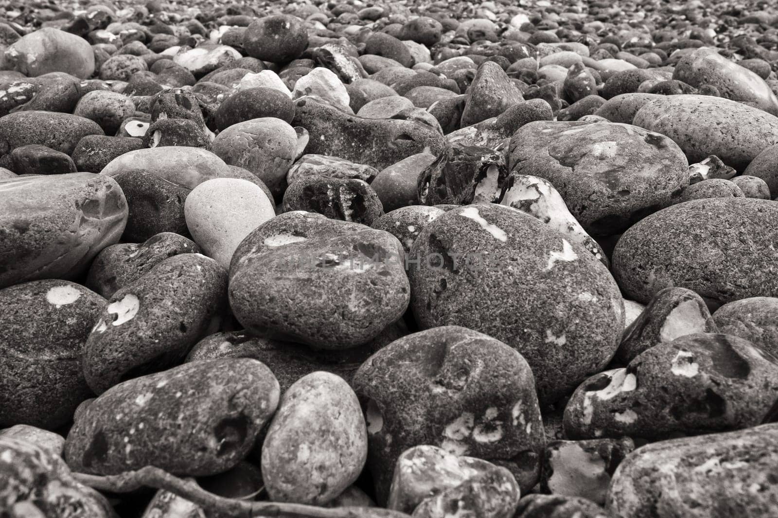 Chalk coast in the Jasmund National Park, Ruegen island