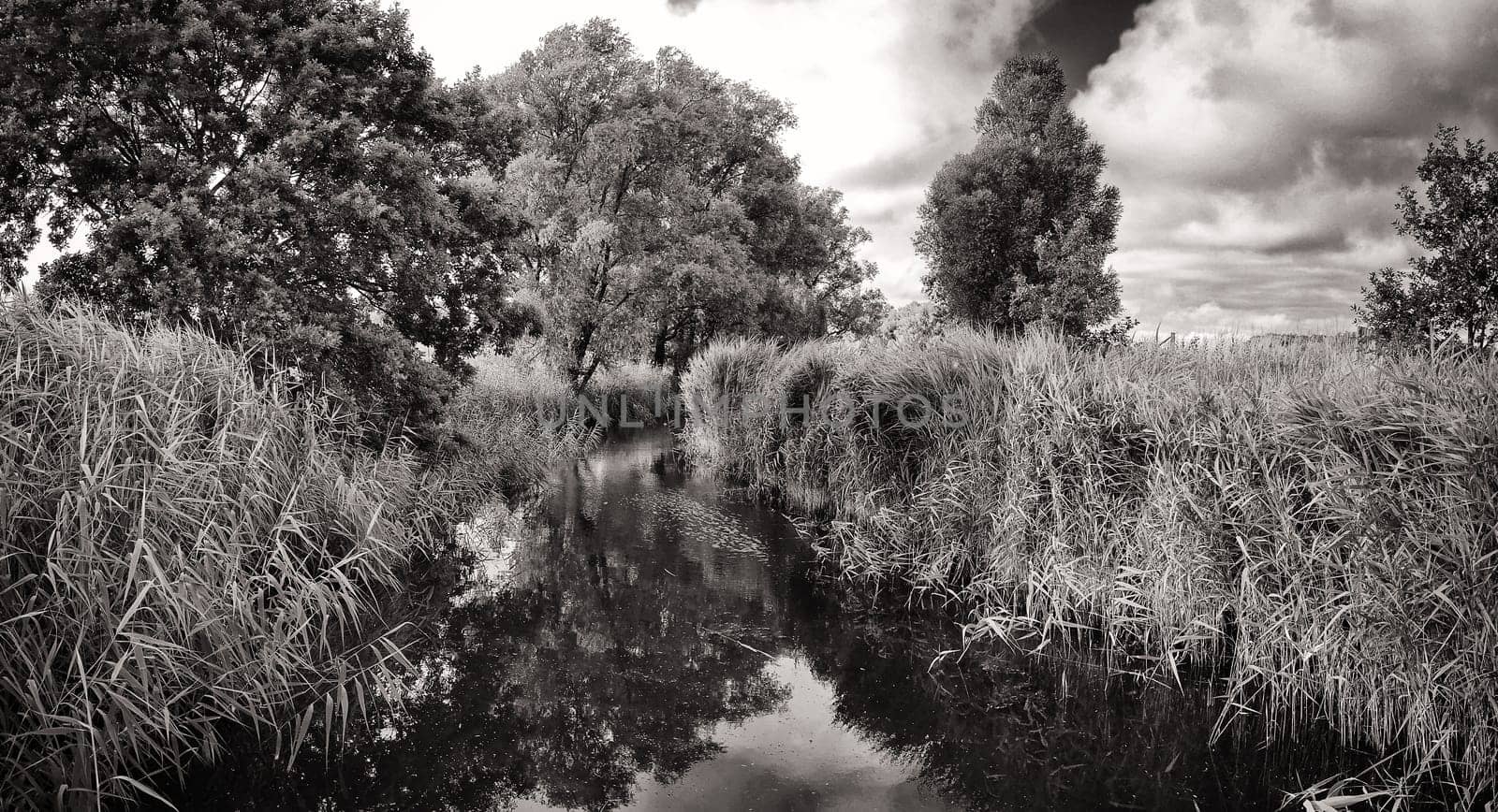 Ruegen island, Mönchgut landscape near Lobbe