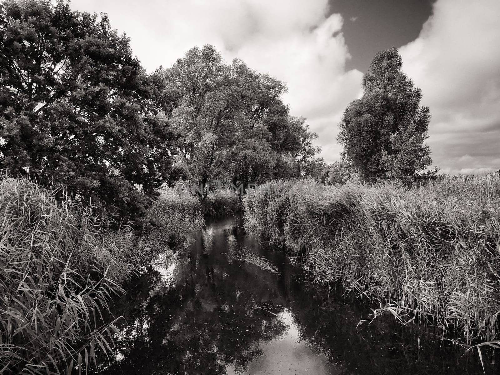 Ruegen island, Mönchgut landscape near Lobbe